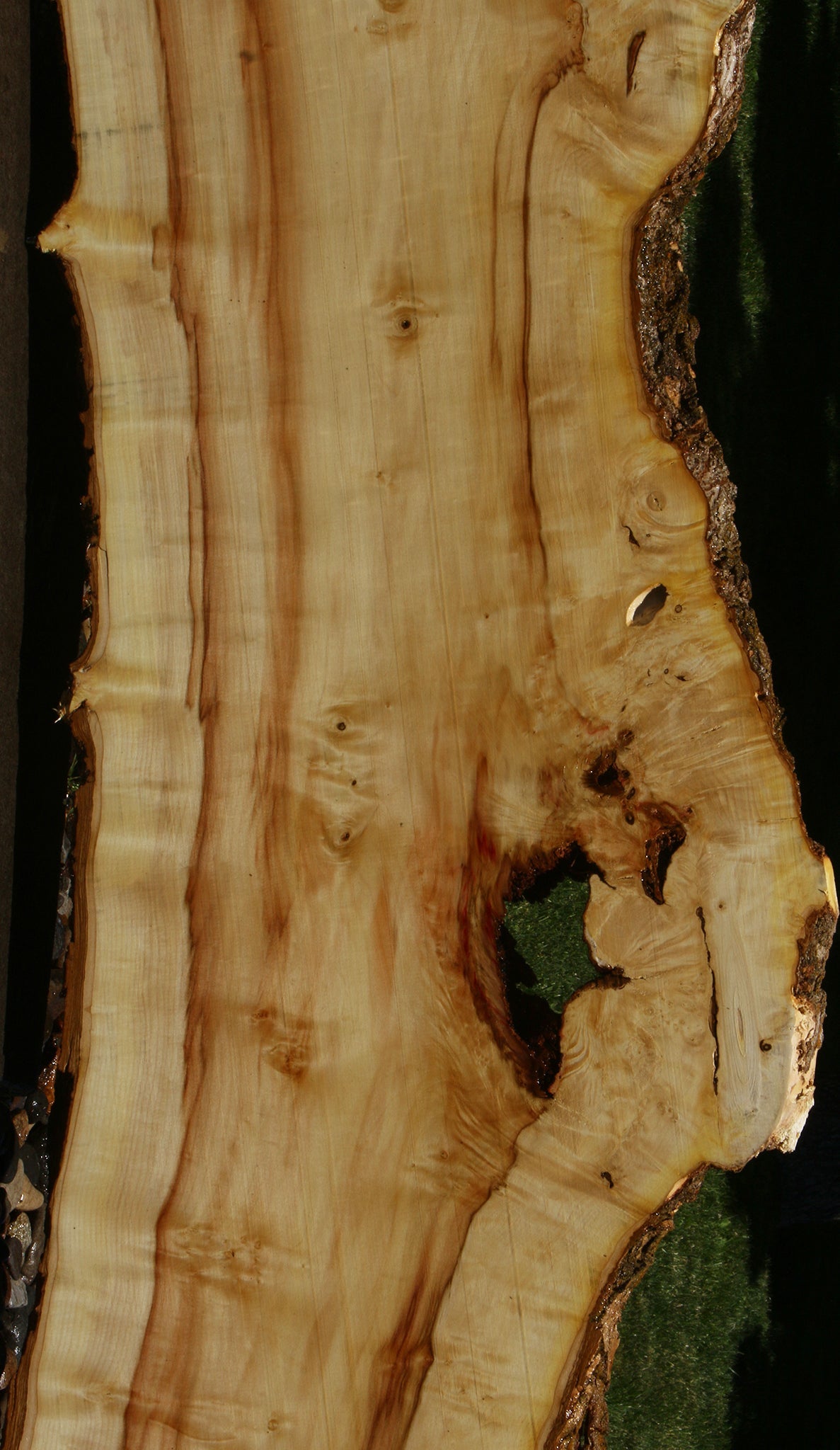 Figured Box Elder Live Edge Slab