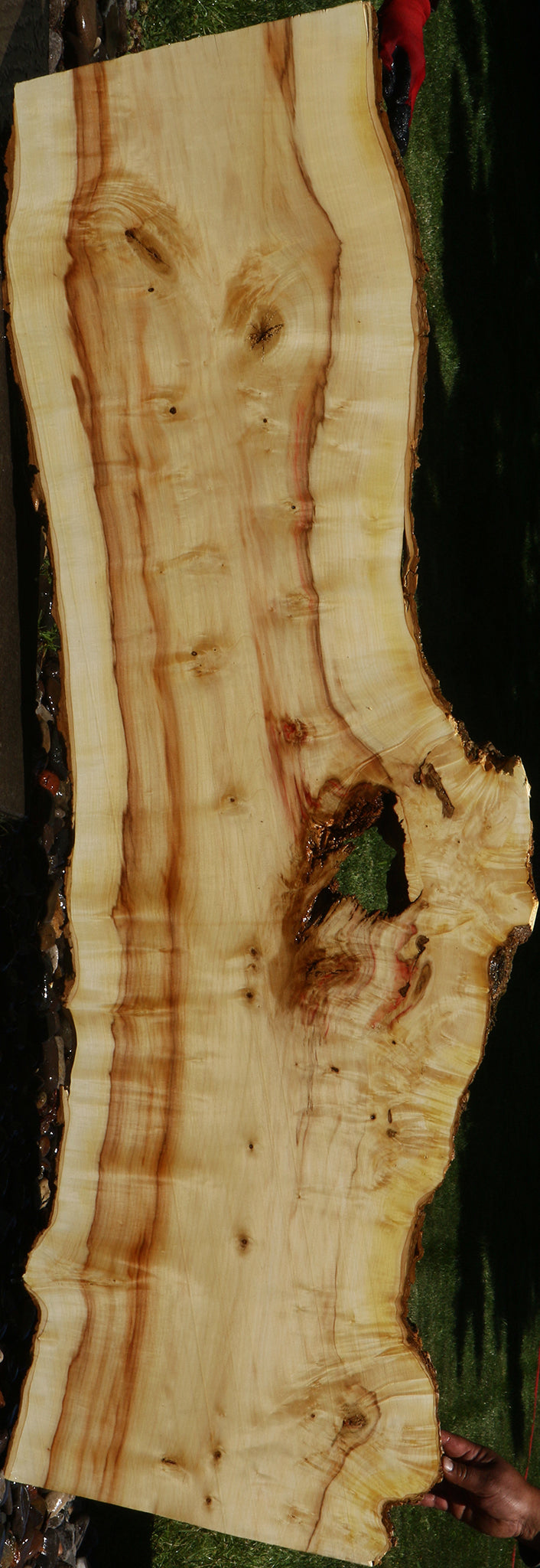Figured Box Elder Live Edge Slab