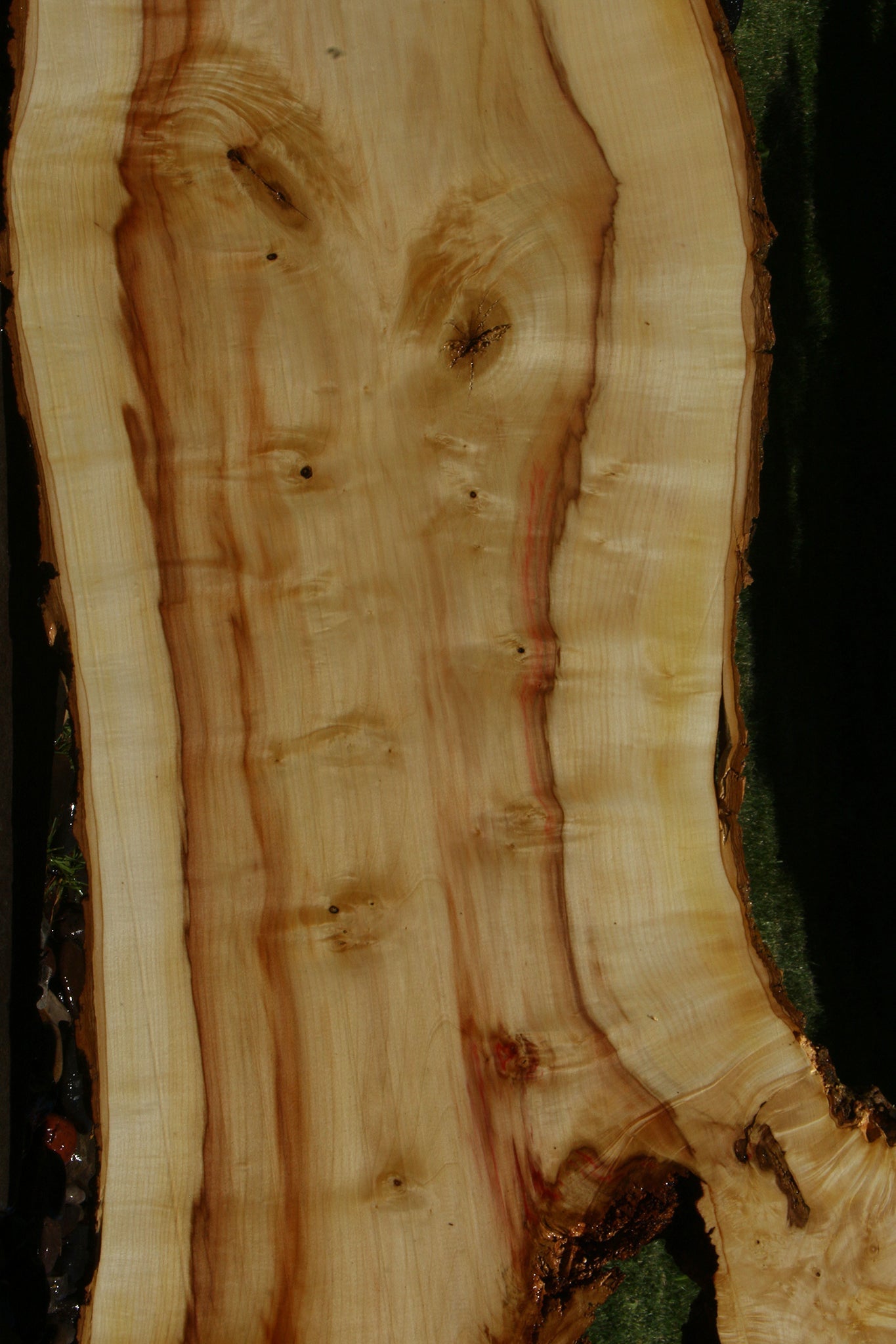 Figured Box Elder Live Edge Slab