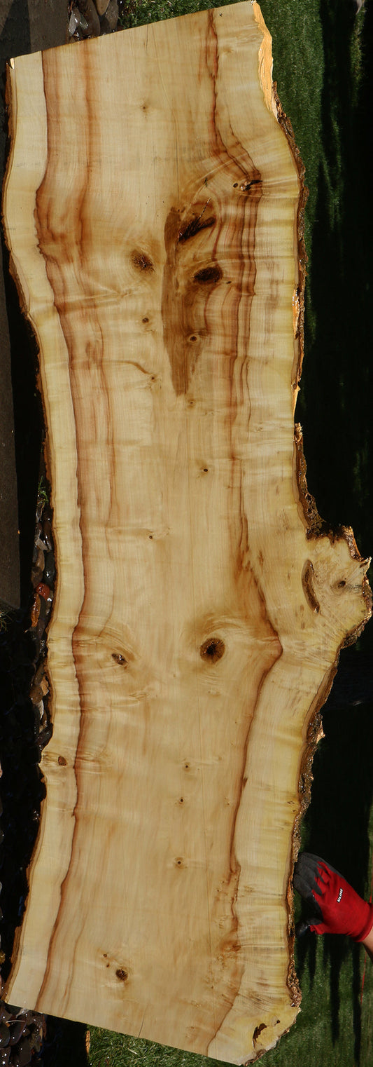 Figured Box Elder Live Edge Slab