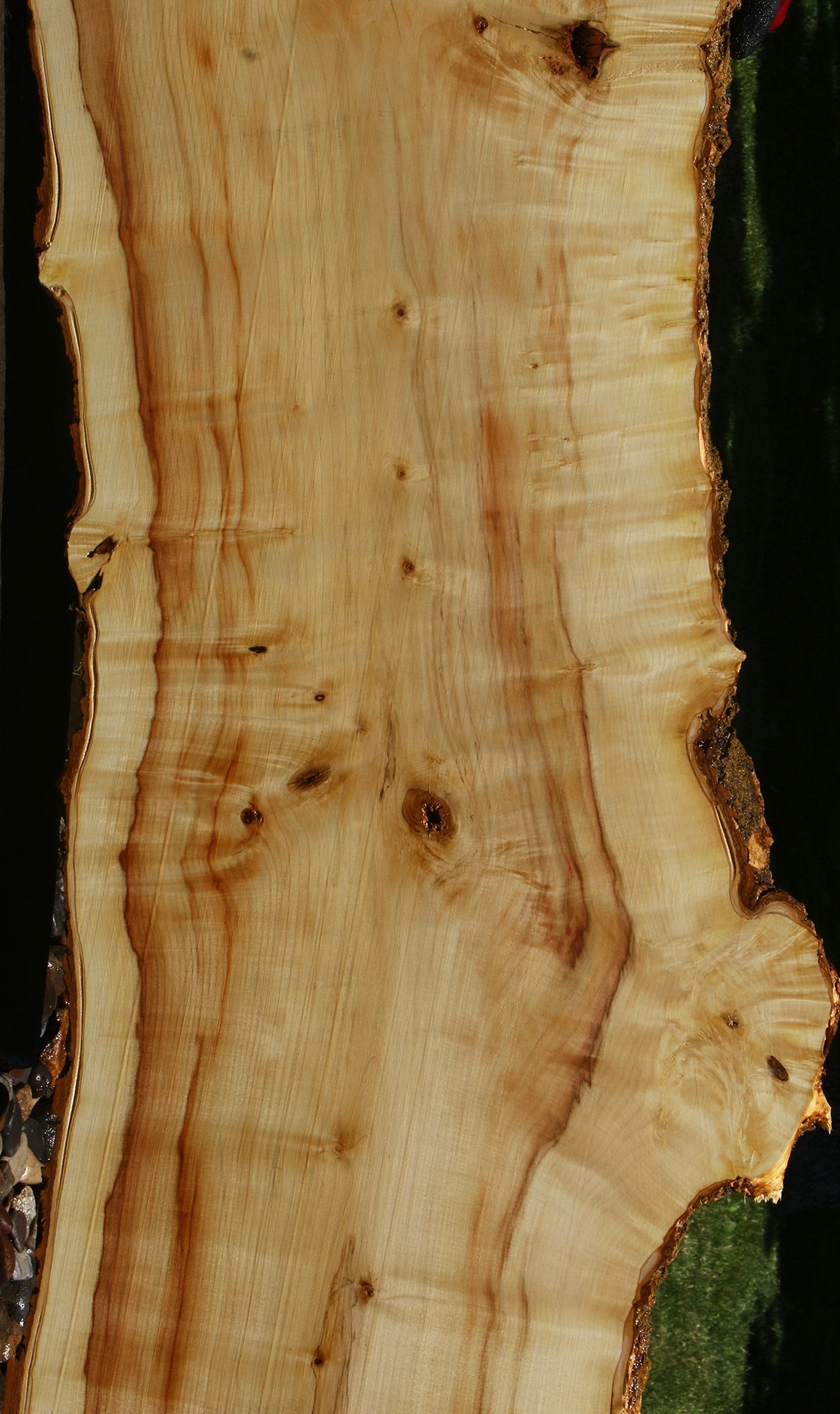 Figured Box Elder Live Edge Slab