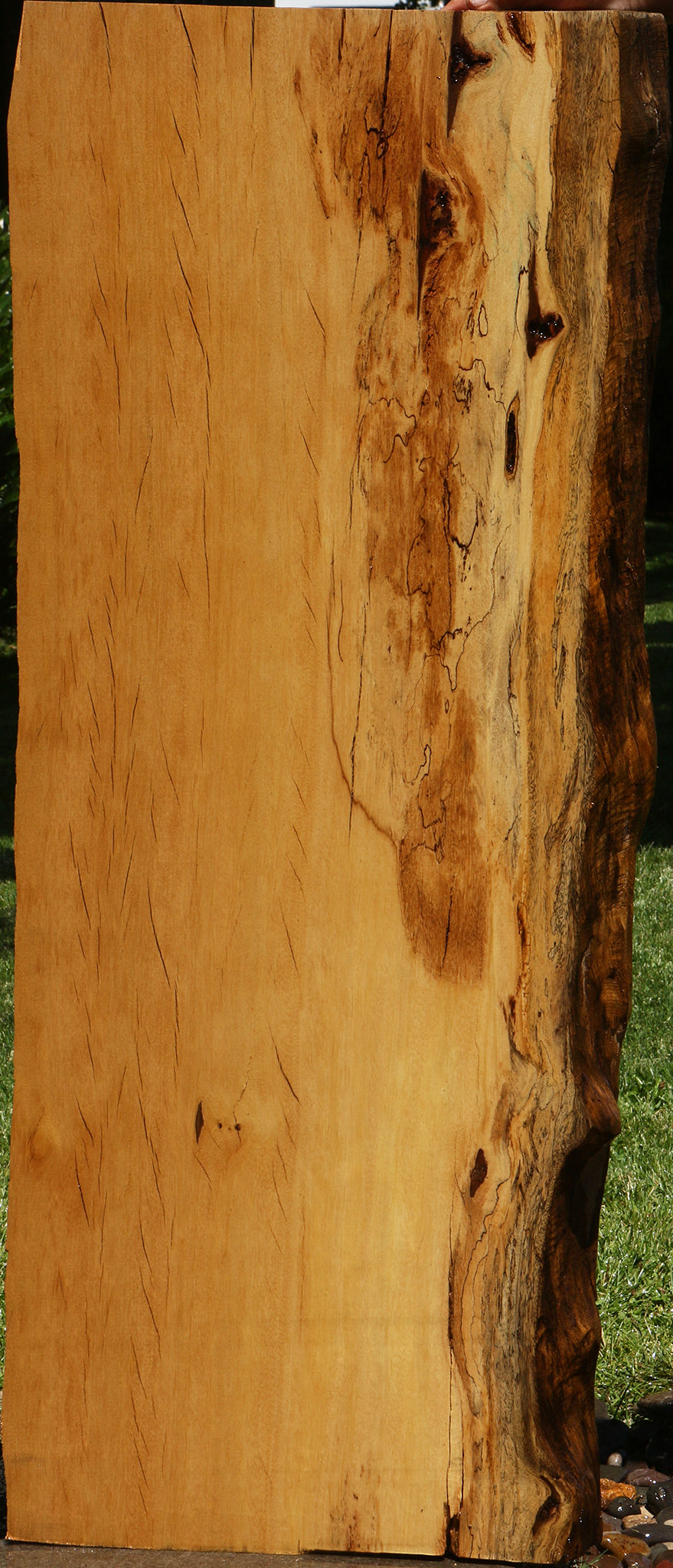 Rustic Piquiarana Live Edge Slab