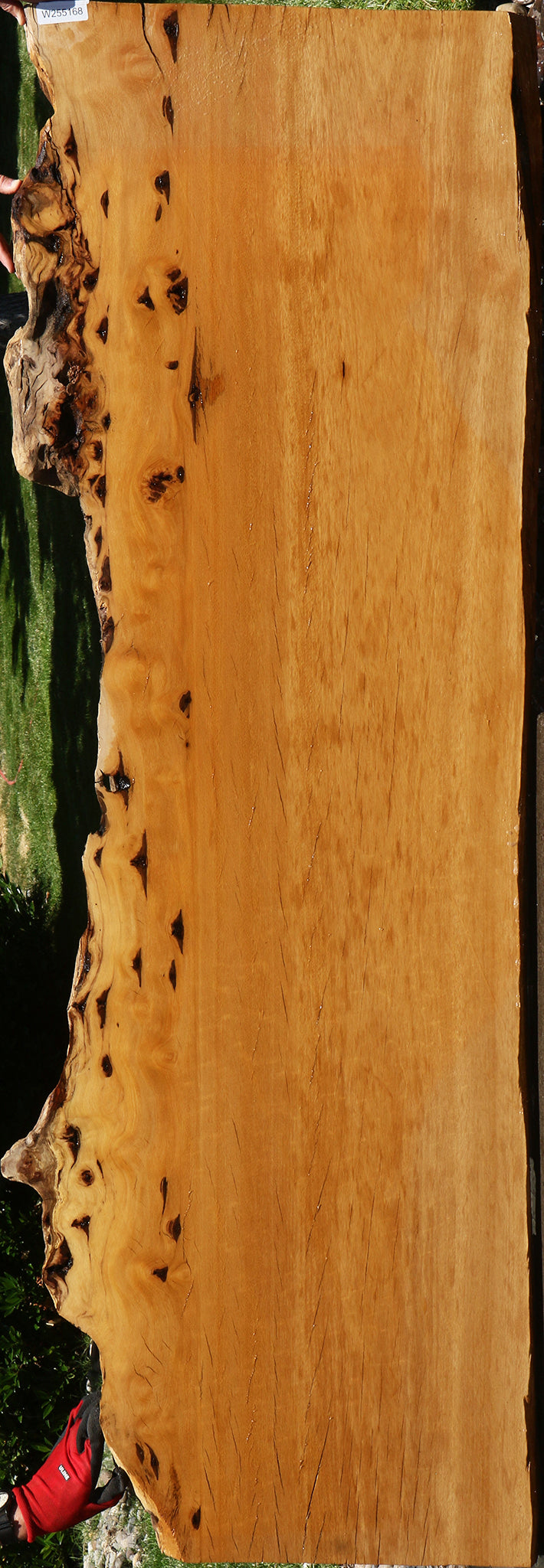 Figured Rustic Piquiarana Live Edge Slab