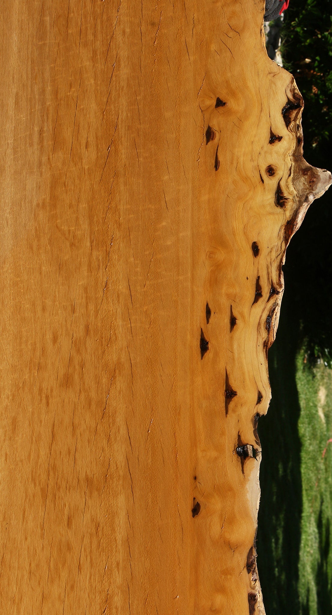 Figured Rustic Piquiarana Live Edge Slab
