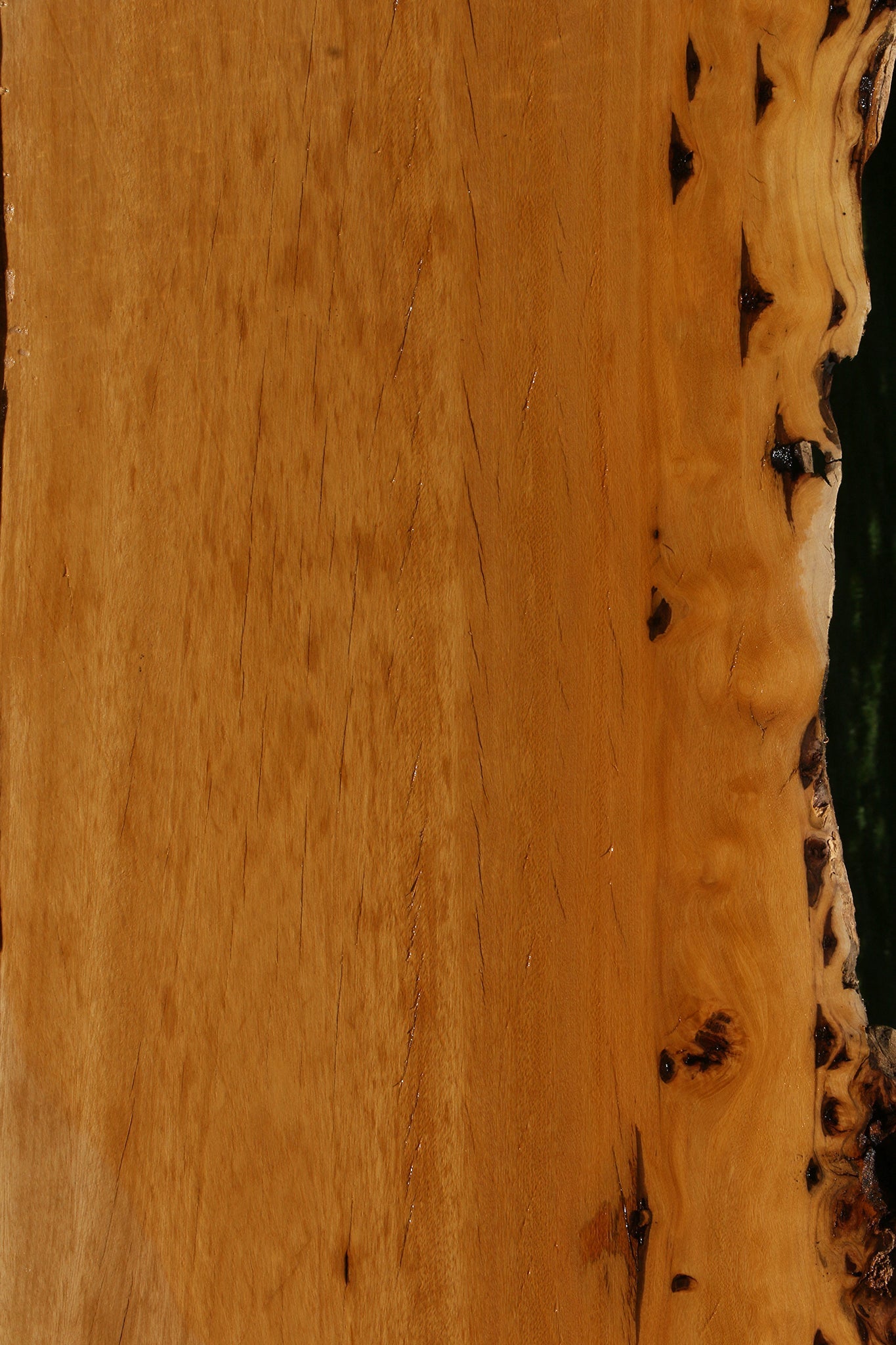 Figured Rustic Piquiarana Live Edge Slab