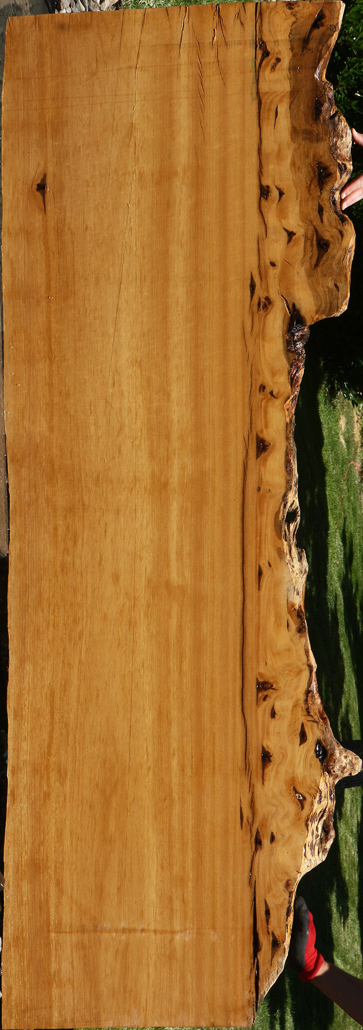 Figured Rustic Piquiarana Live Edge Slab