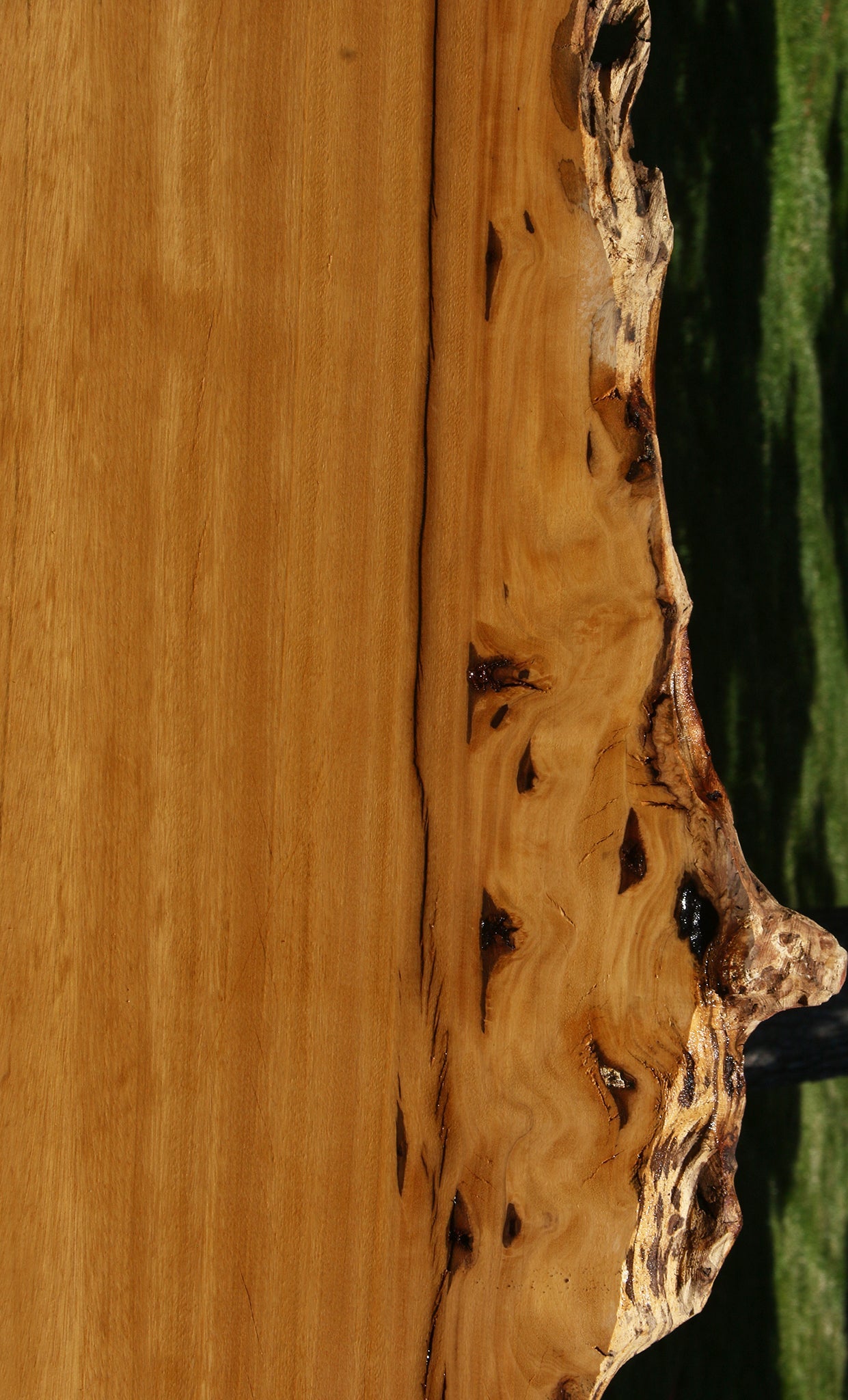 Figured Rustic Piquiarana Live Edge Slab