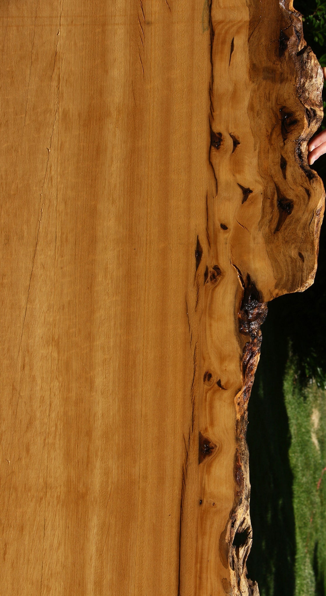 Figured Rustic Piquiarana Live Edge Slab