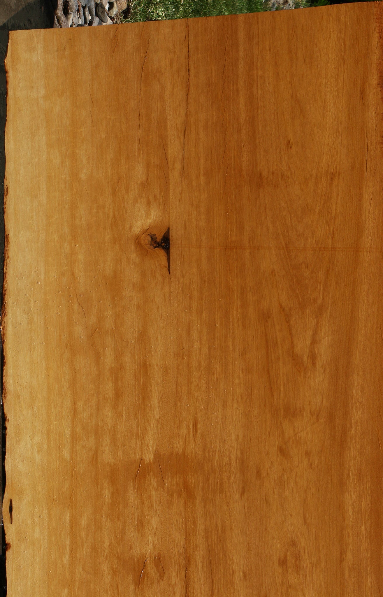 Figured Rustic Piquiarana Live Edge Slab