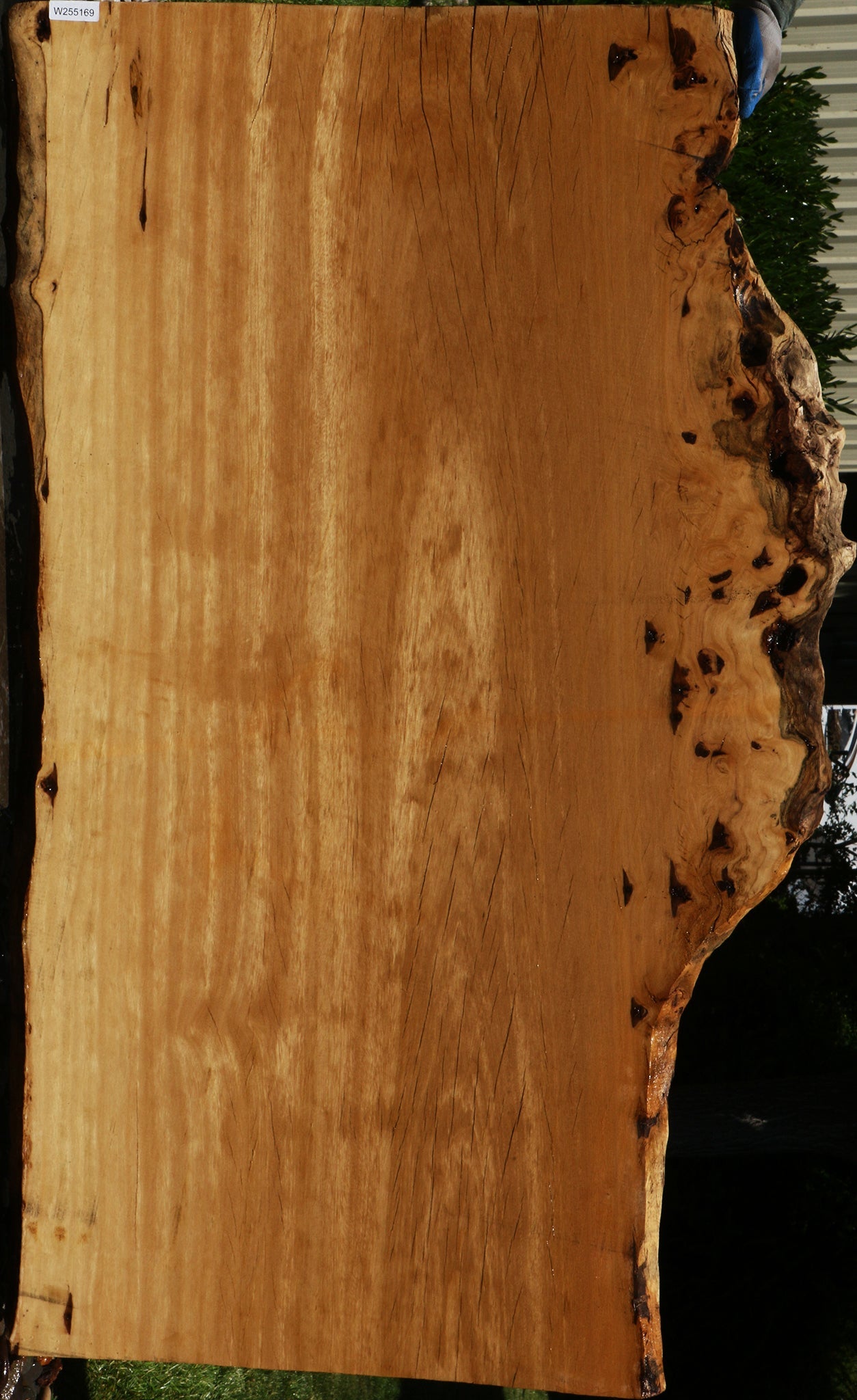 Figured Rustic Piquiarana Live Edge Slab