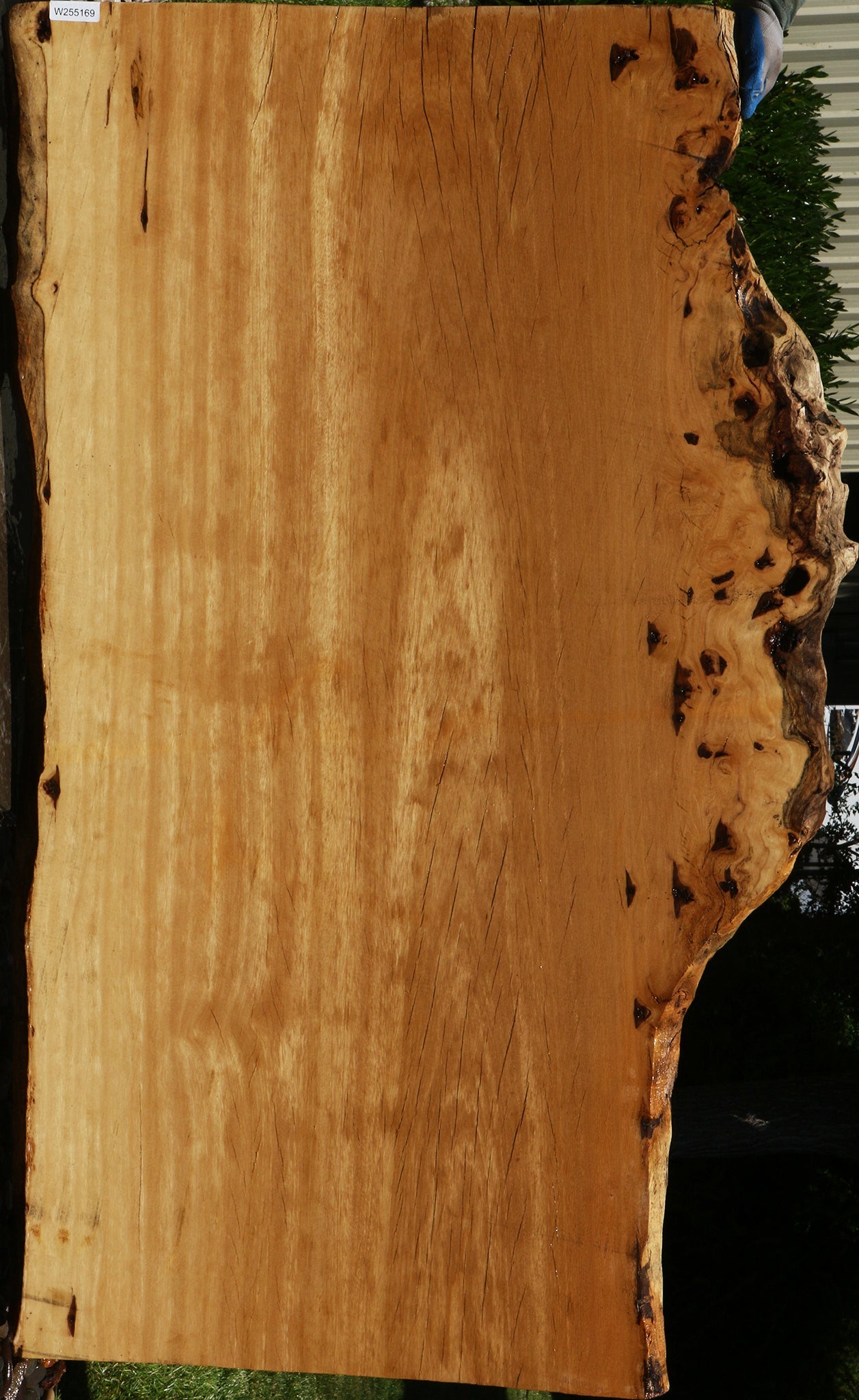 Figured Rustic Piquiarana Live Edge Slab