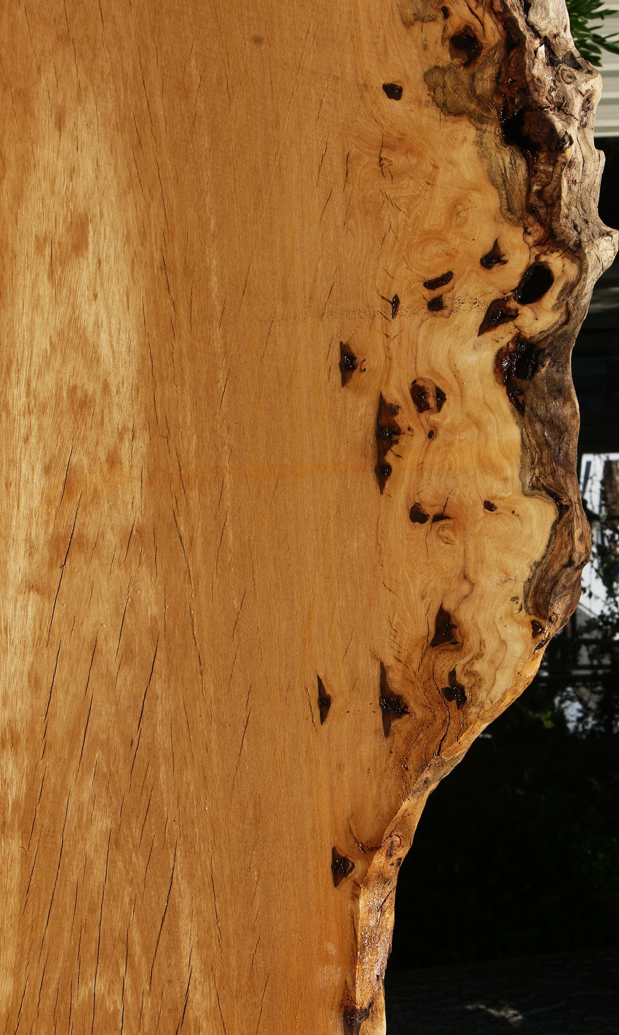 Figured Rustic Piquiarana Live Edge Slab