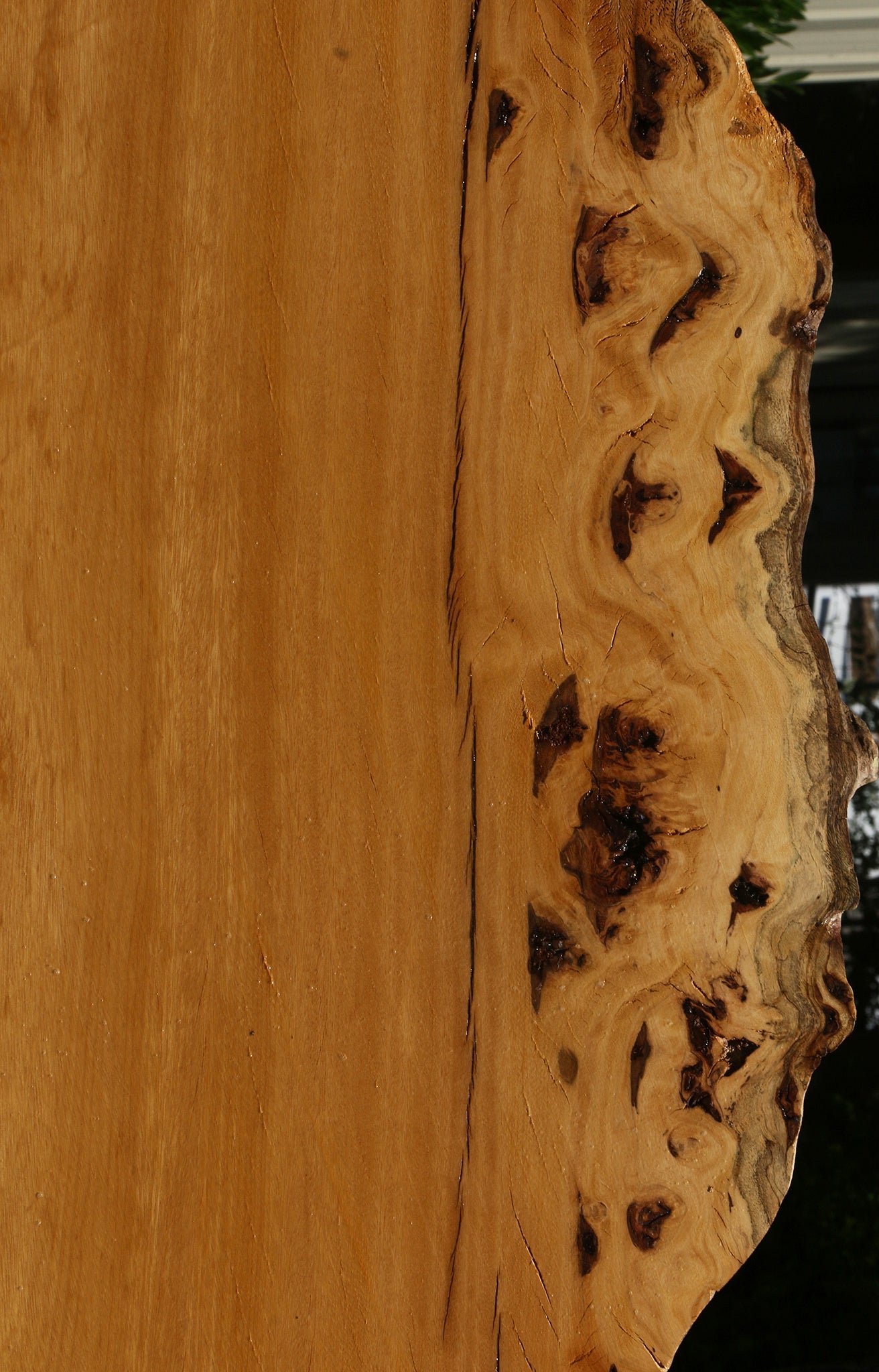 Figured Rustic Piquiarana Live Edge Slab