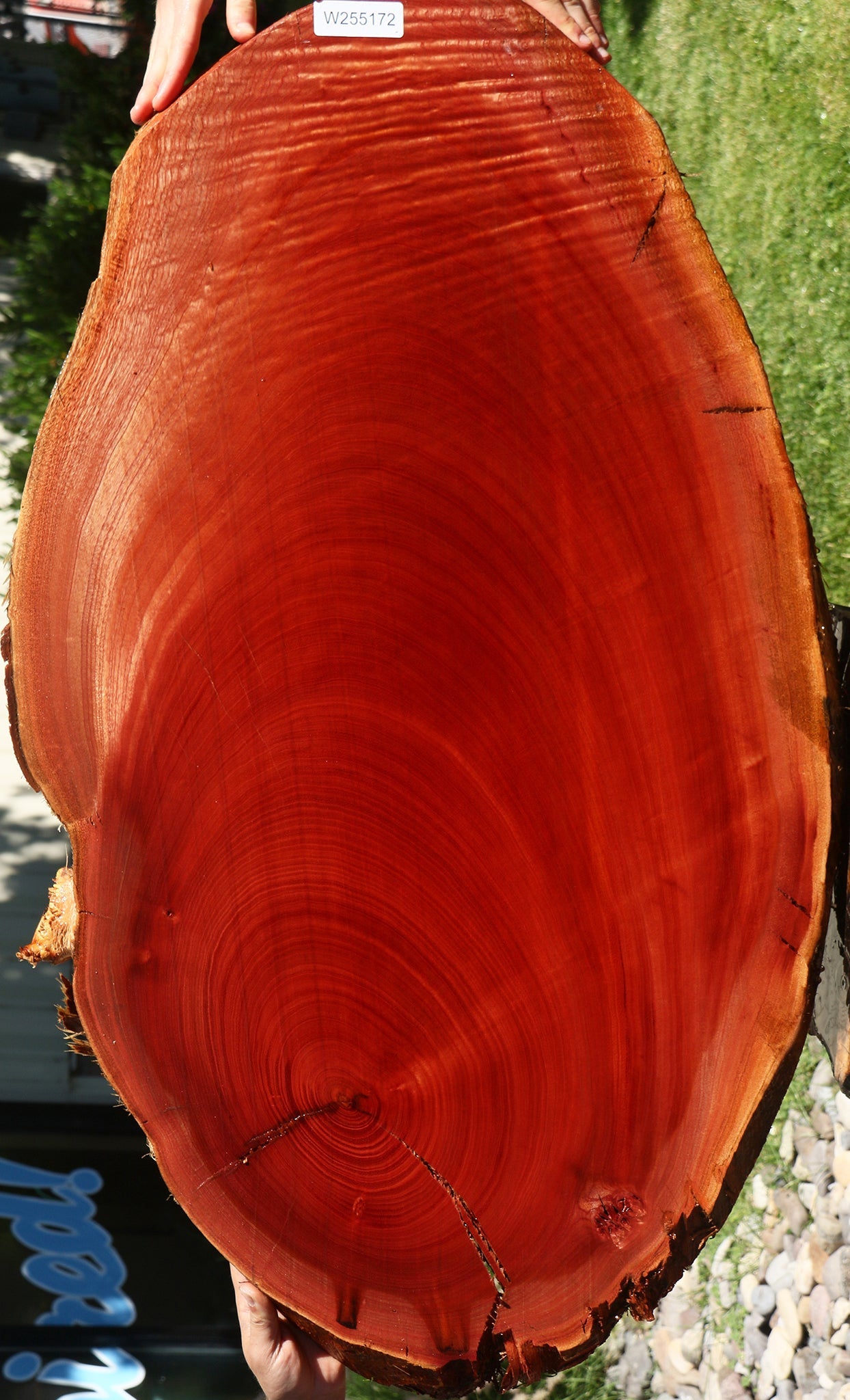 Figured Brazilian Pepperwood Cookie