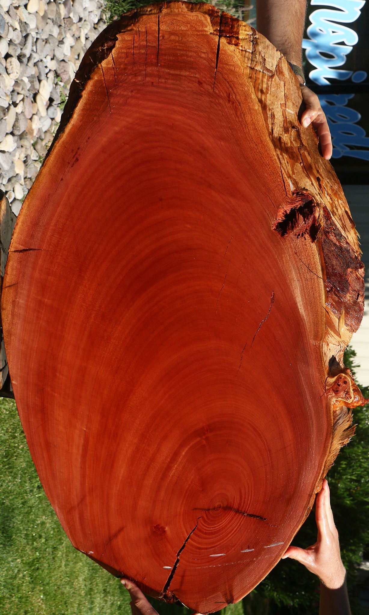 Figured Brazilian Pepperwood Cookie
