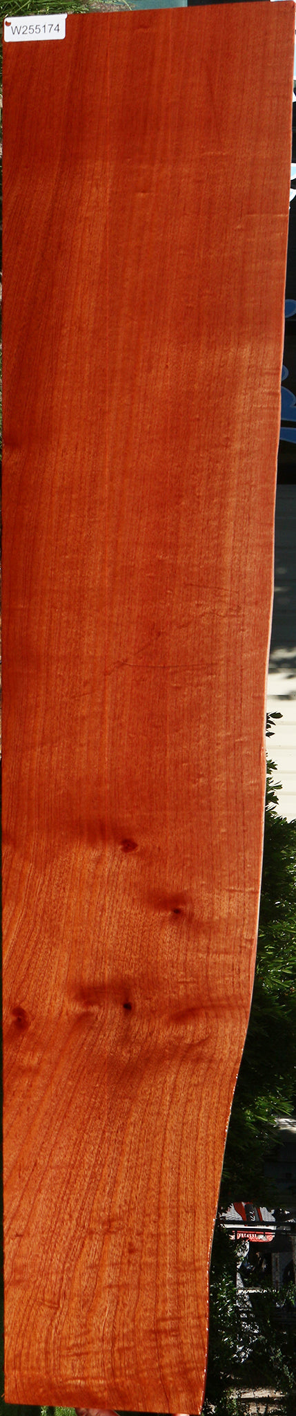Figured Brazilian Pepperwood Live Edge Lumber