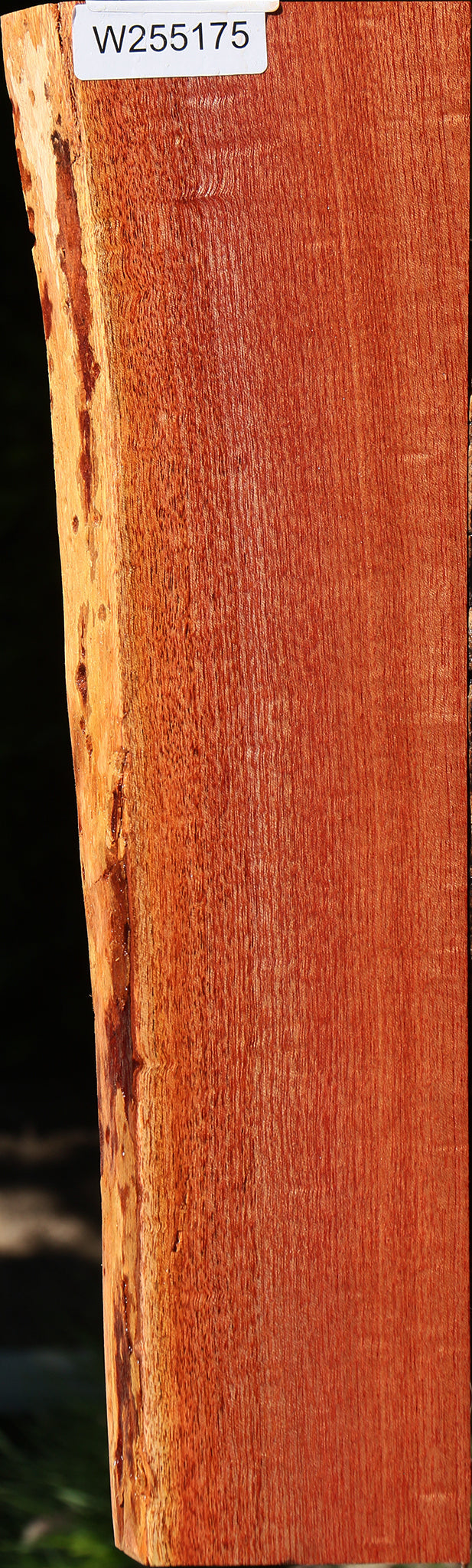 Brazilian Pepperwood Live Edge Lumber