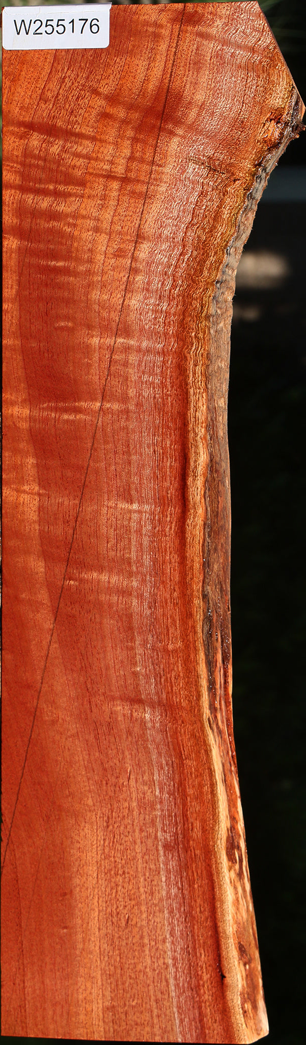 Figured Brazilian Pepperwood Live Edge Lumber