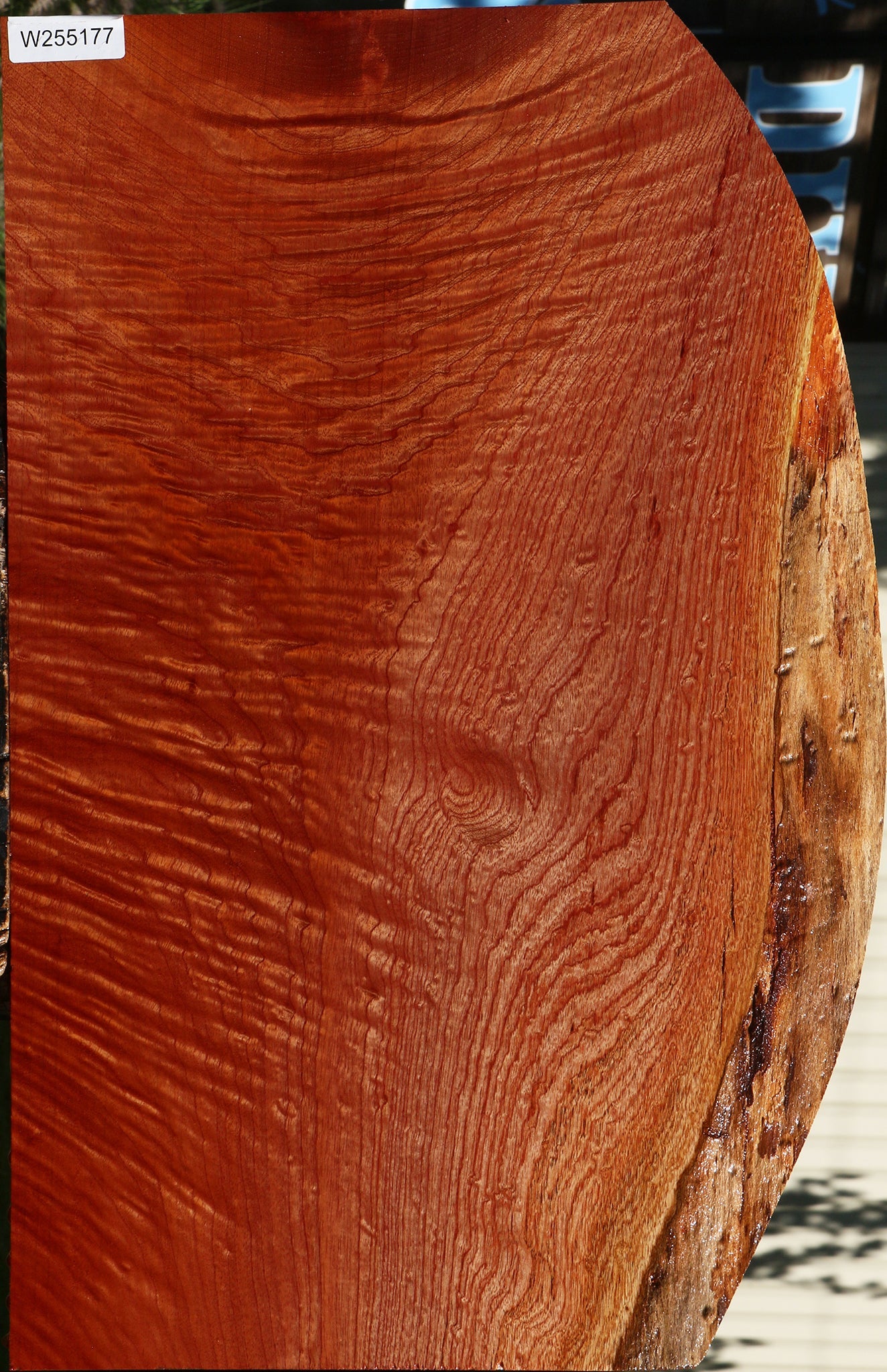 Extra Fancy Brazilian Pepperwood Live Edge Mini Slab
