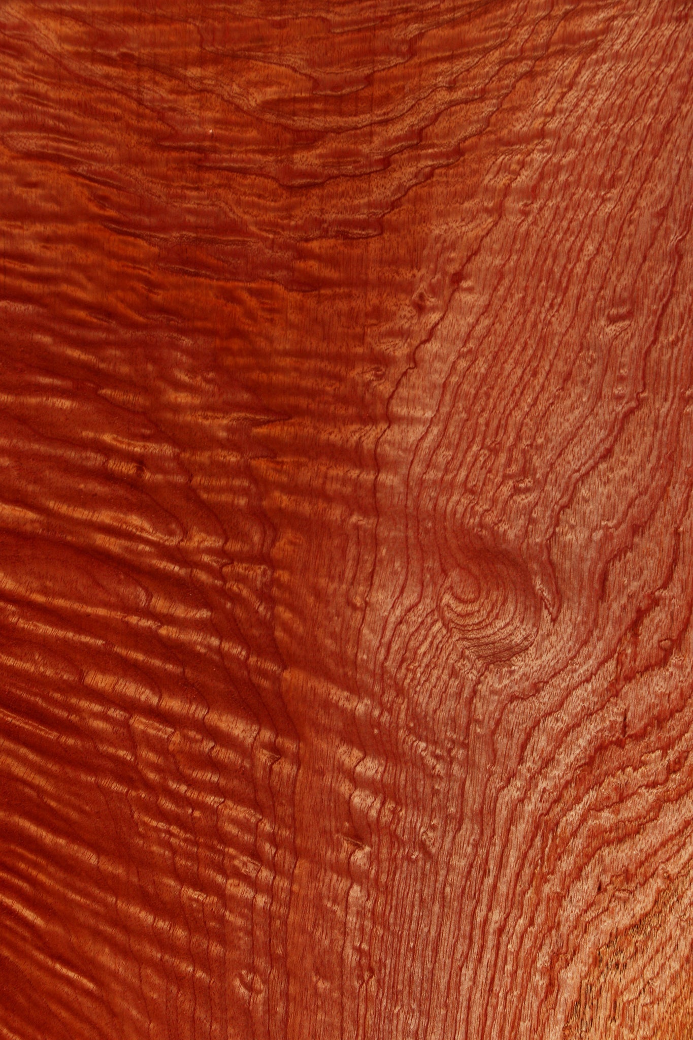 Extra Fancy Brazilian Pepperwood Live Edge Mini Slab