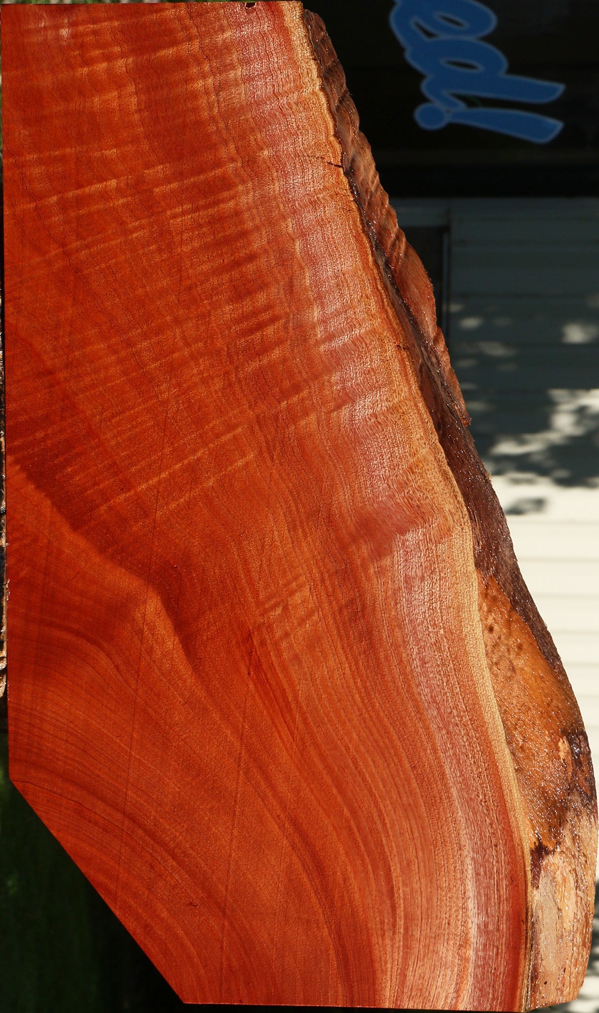 Extra Fancy Brazilian Pepperwood Live Edge Lumber