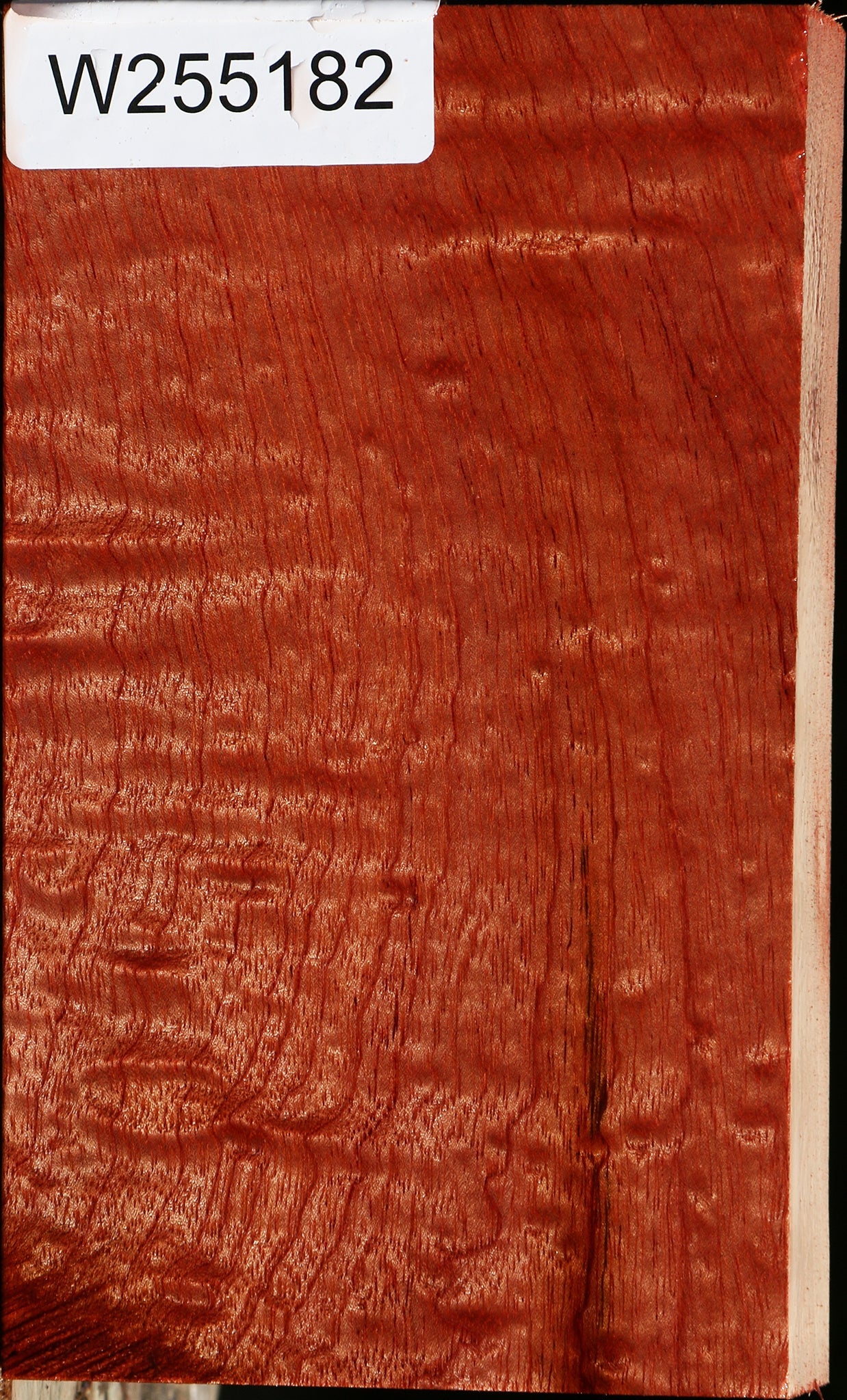 Extra Fancy Brazilian Pepperwood Lumber
