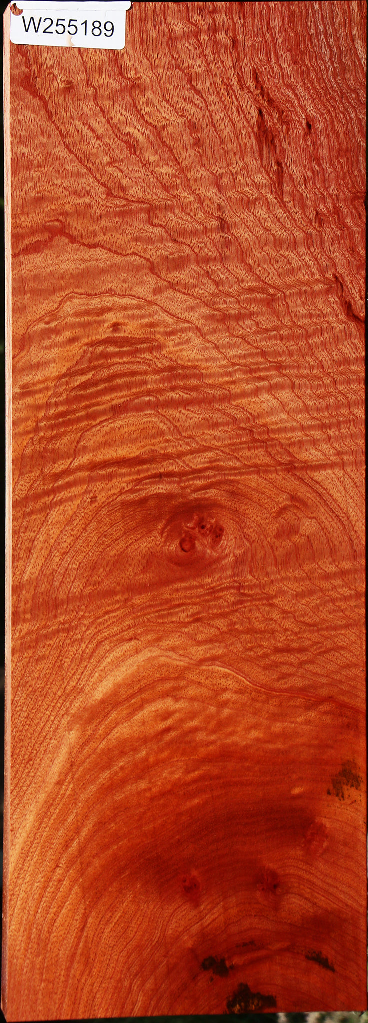 Extra Fancy Brazilian Pepperwood Electric Guitar Drop Top Billet