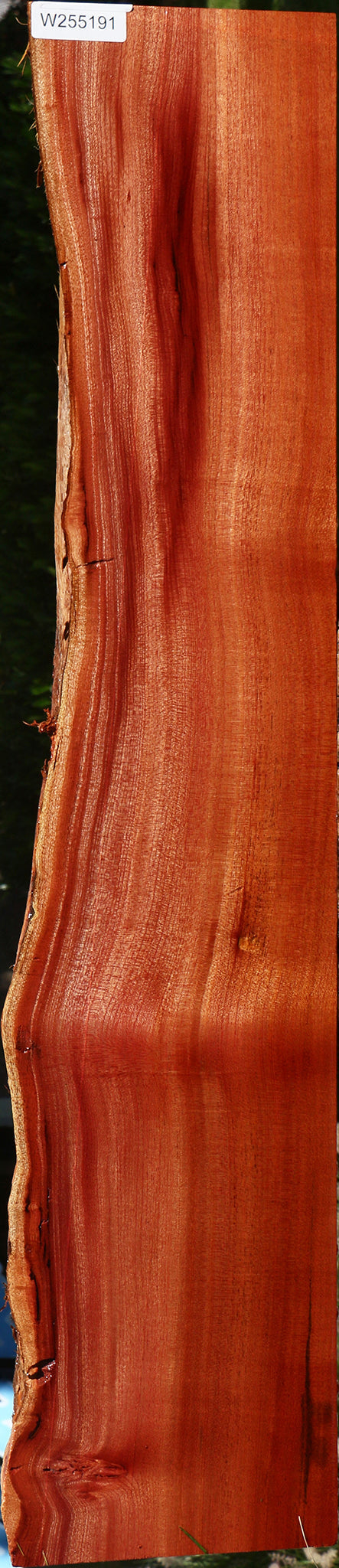 Figured Quartersawn Brazilian Pepperwood Live Edge Lumber
