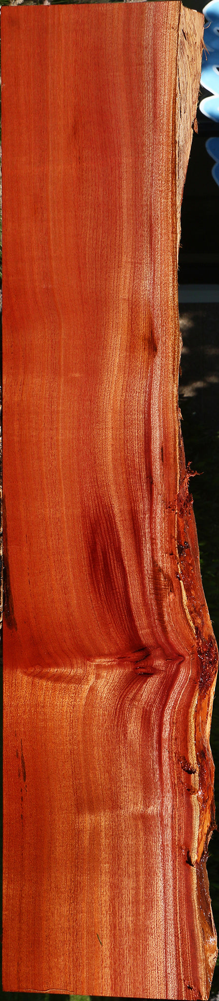Figured Quartersawn Brazilian Pepperwood Live Edge Lumber