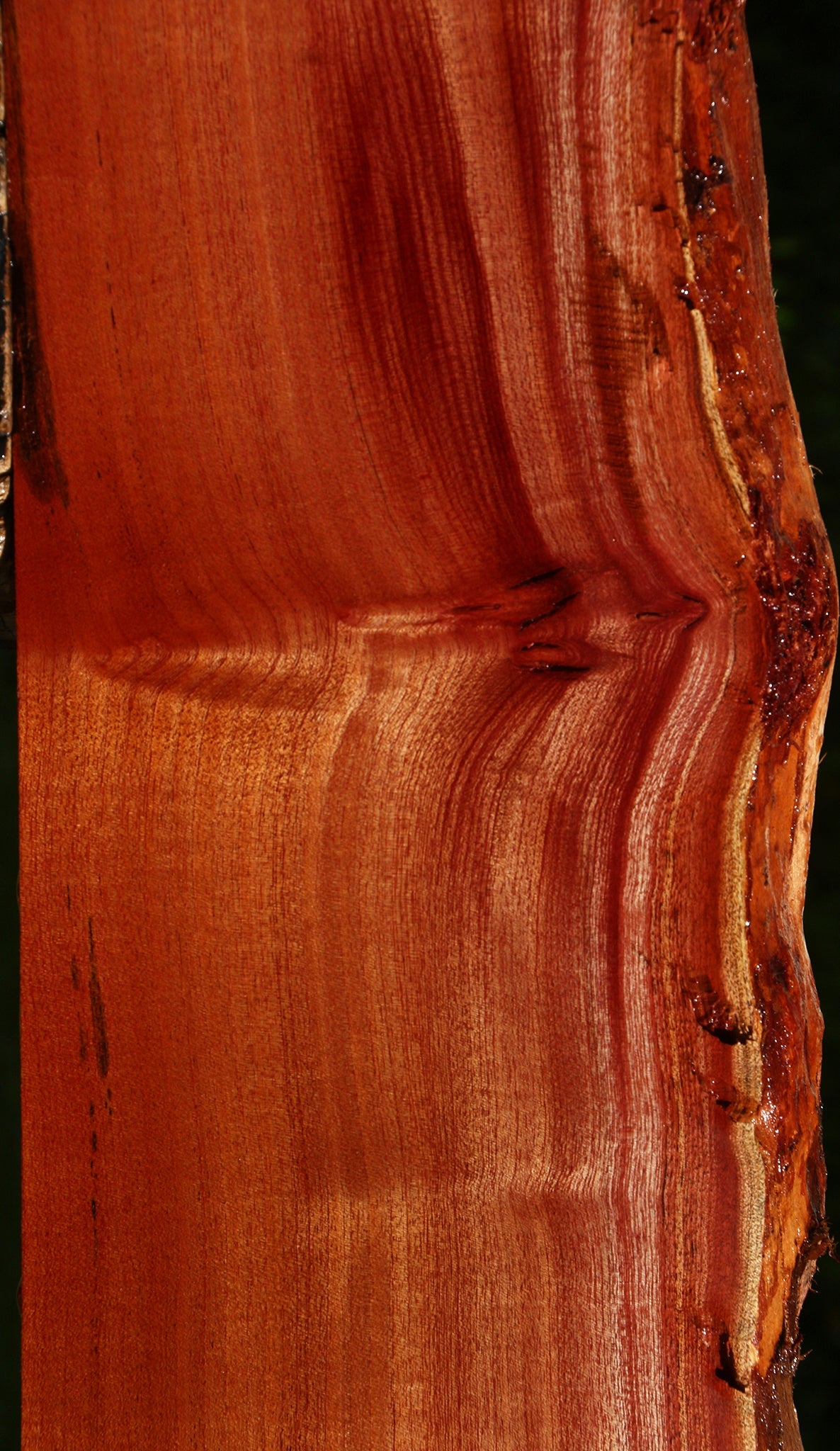 Figured Quartersawn Brazilian Pepperwood Live Edge Lumber