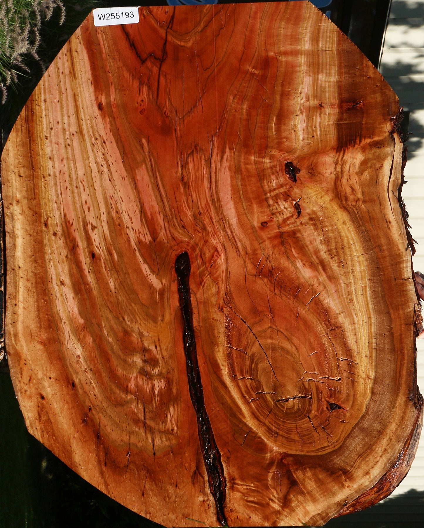 Figured Rustic Brazilian Pepperwood Live Edge Mini Slab