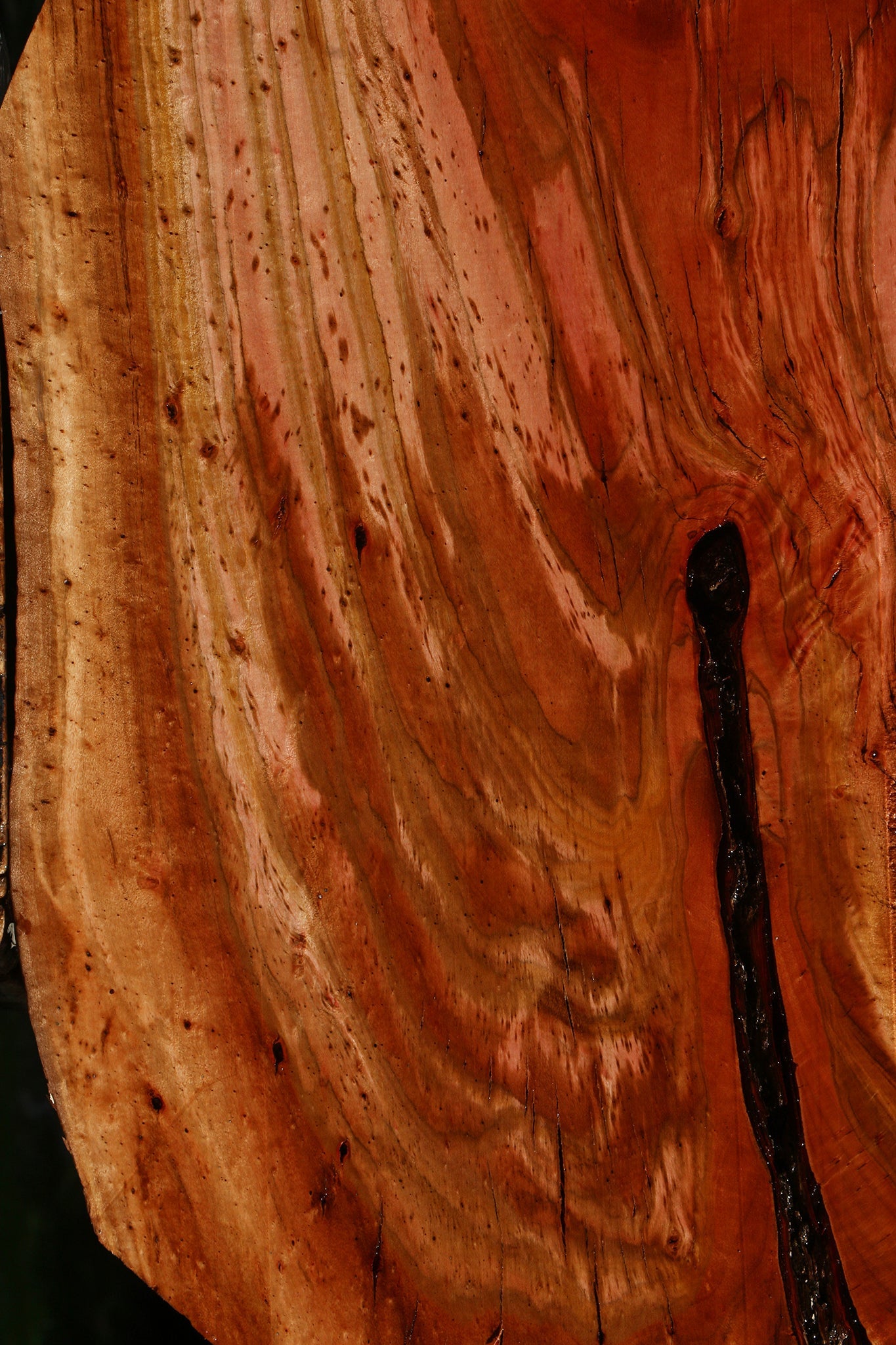 Figured Rustic Brazilian Pepperwood Live Edge Mini Slab
