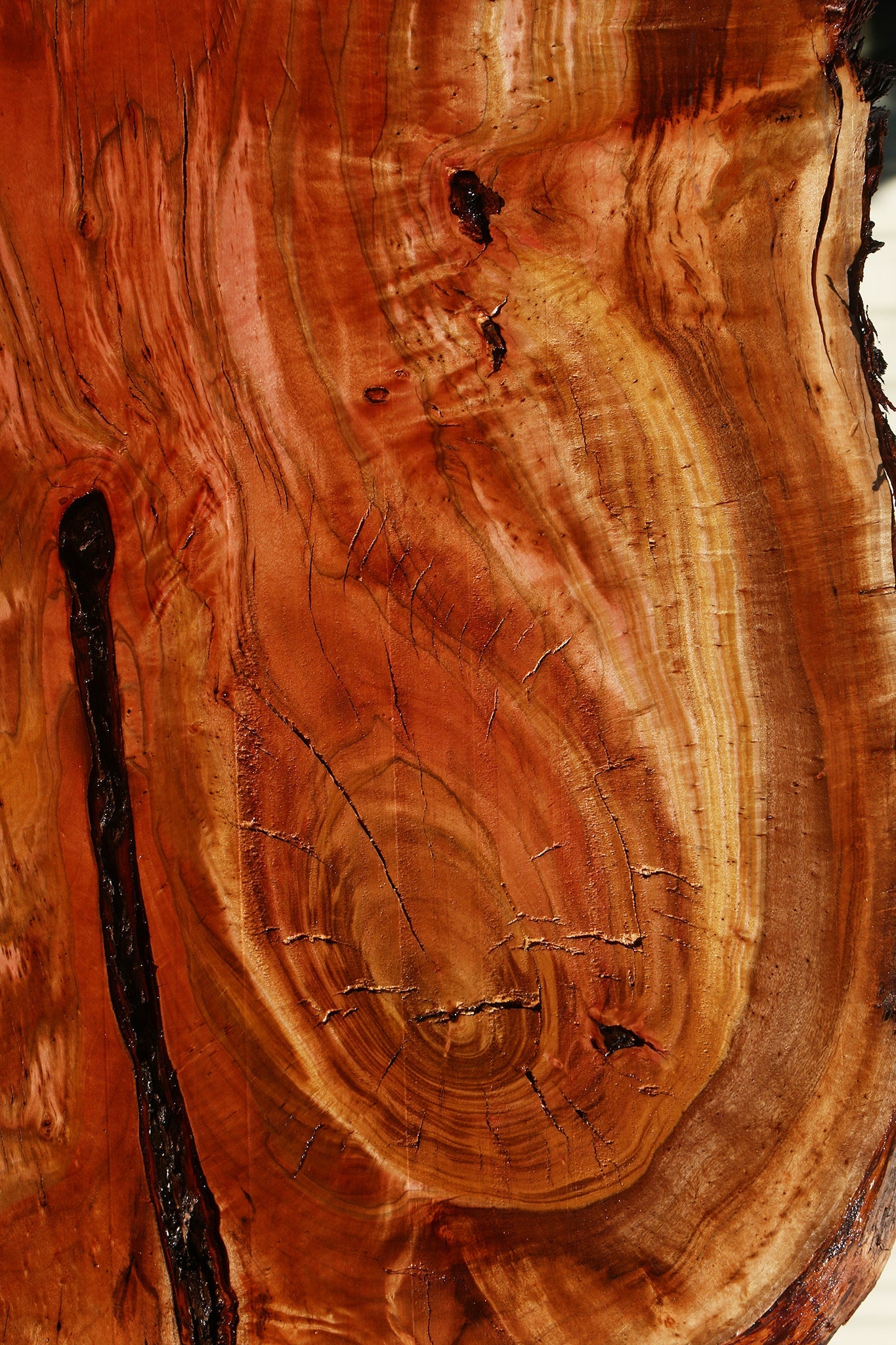 Figured Rustic Brazilian Pepperwood Live Edge Mini Slab