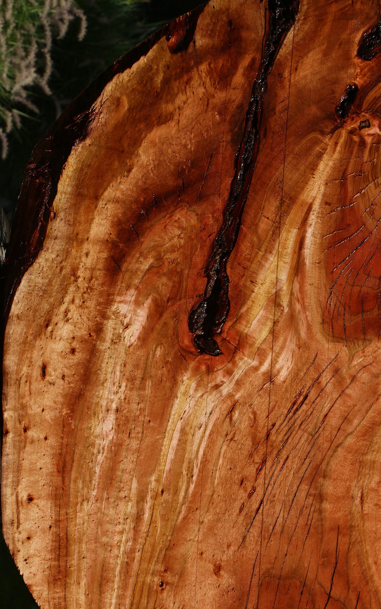 Figured Rustic Brazilian Pepperwood Live Edge Mini Slab