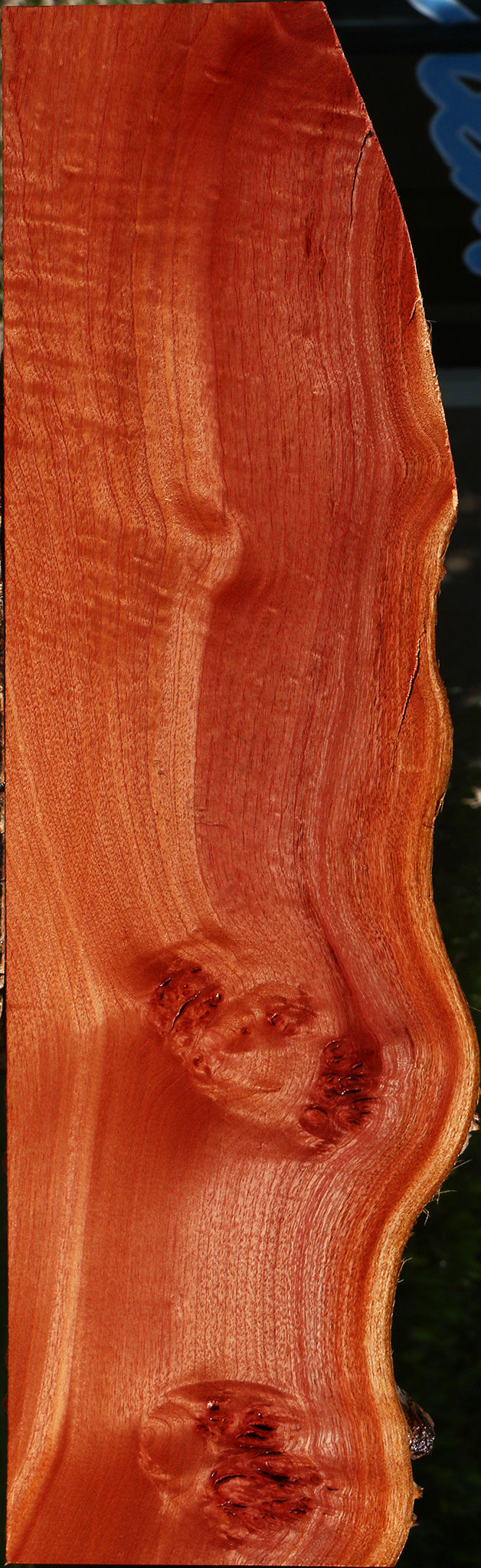 Figured Brazilian Pepperwood Live Edge Lumber