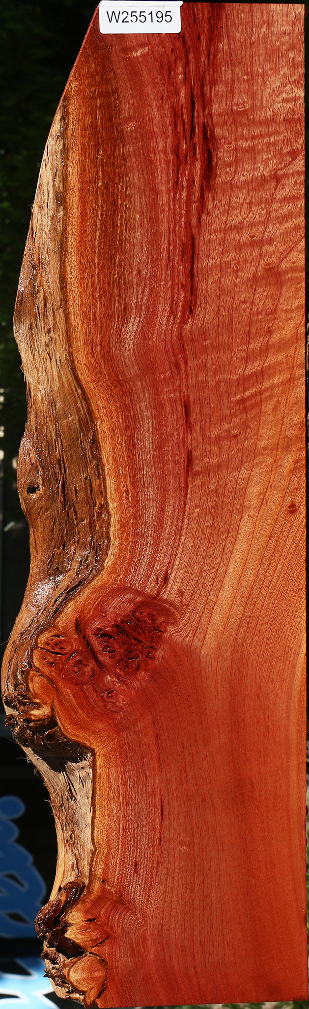 Figured Brazilian Pepperwood Live Edge Lumber