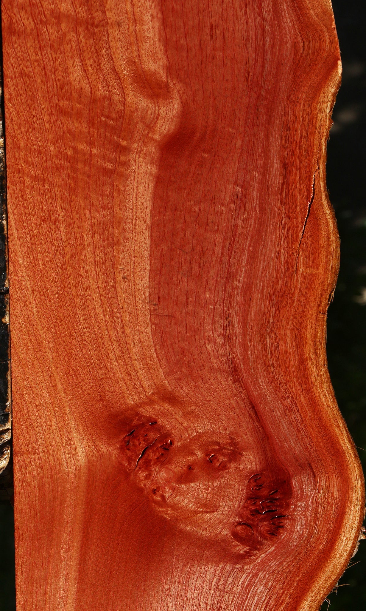 Figured Brazilian Pepperwood Live Edge Lumber
