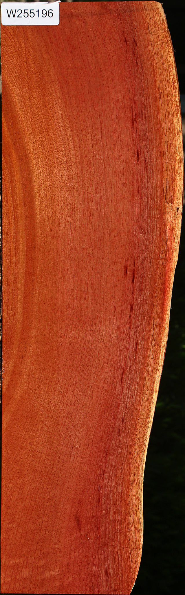 Brazilian Pepperwood Live Edge Lumber