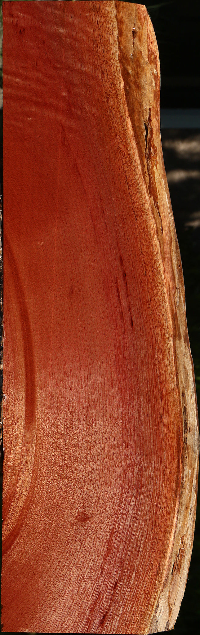 Brazilian Pepperwood Live Edge Lumber
