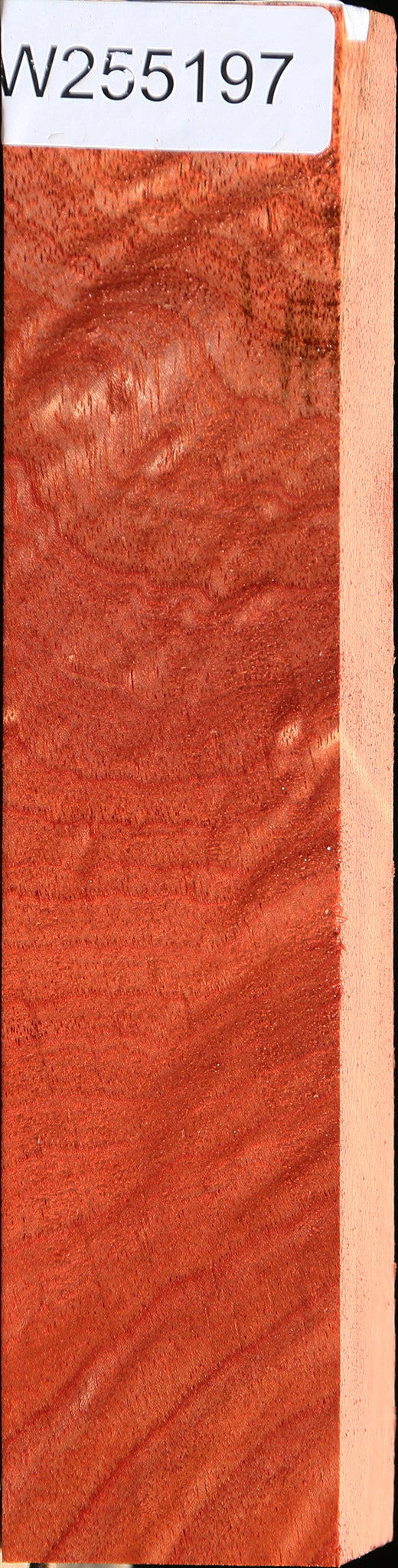 Extra Fancy Brazilian Pepperwood Turning Blank