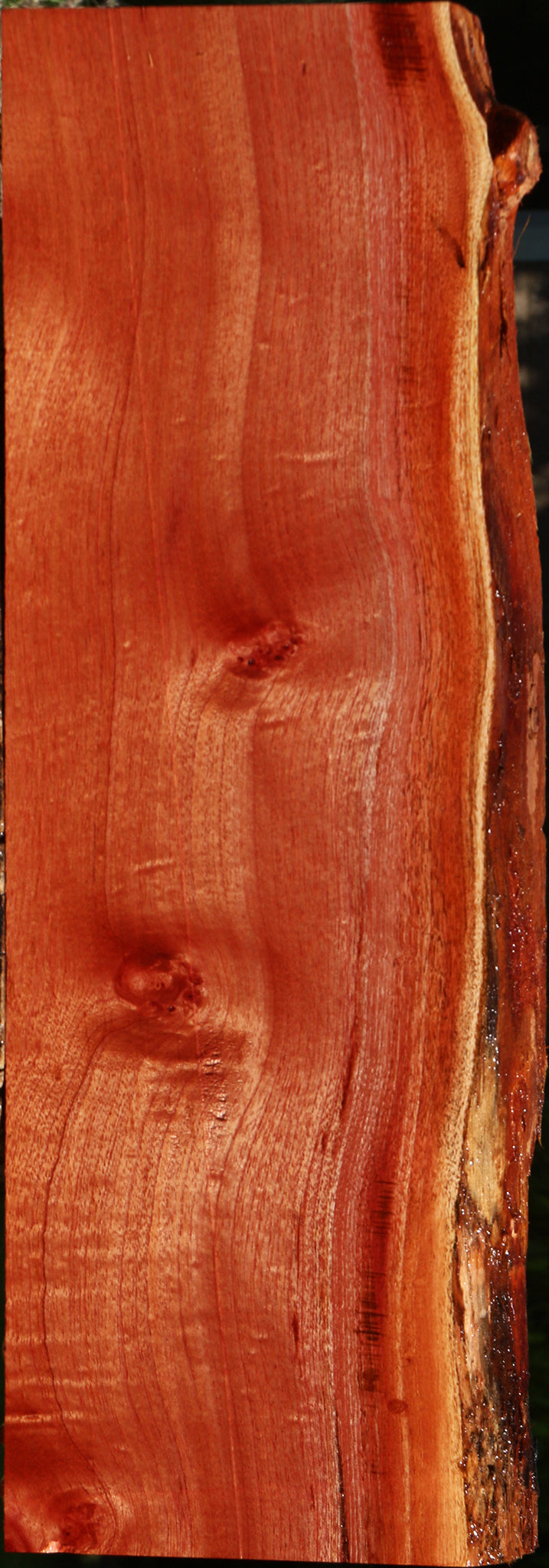 Figured Brazilian Pepperwood Live Edge Lumber