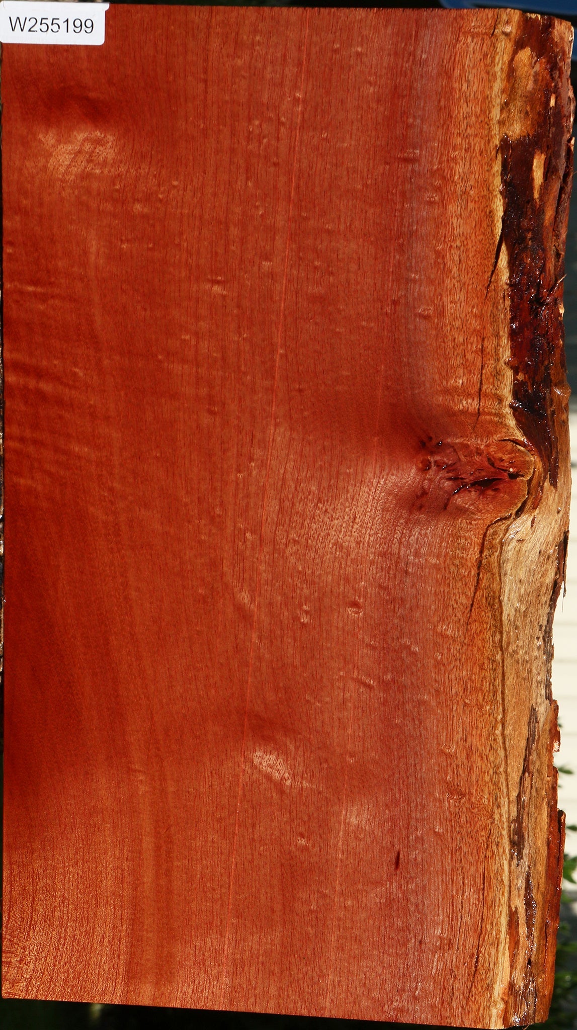 Brazilian Pepperwood Live Edge Lumber