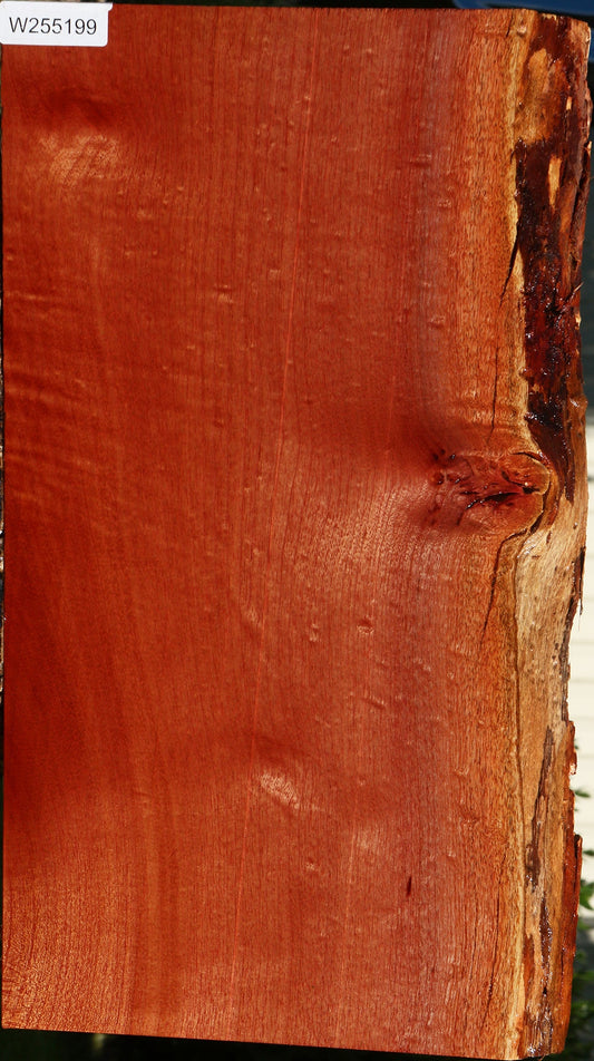 Brazilian Pepperwood Live Edge Lumber