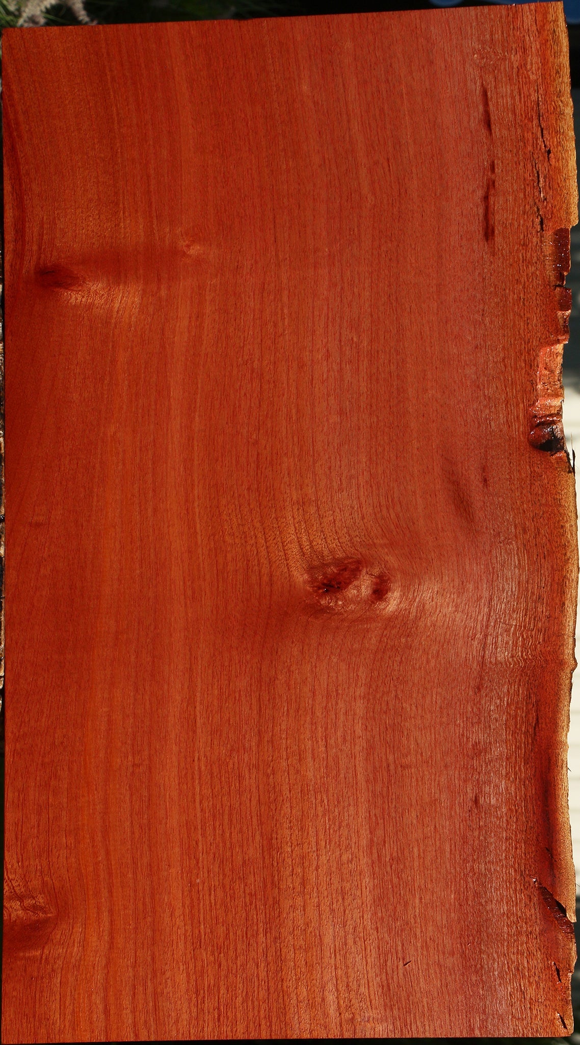 Brazilian Pepperwood Live Edge Lumber
