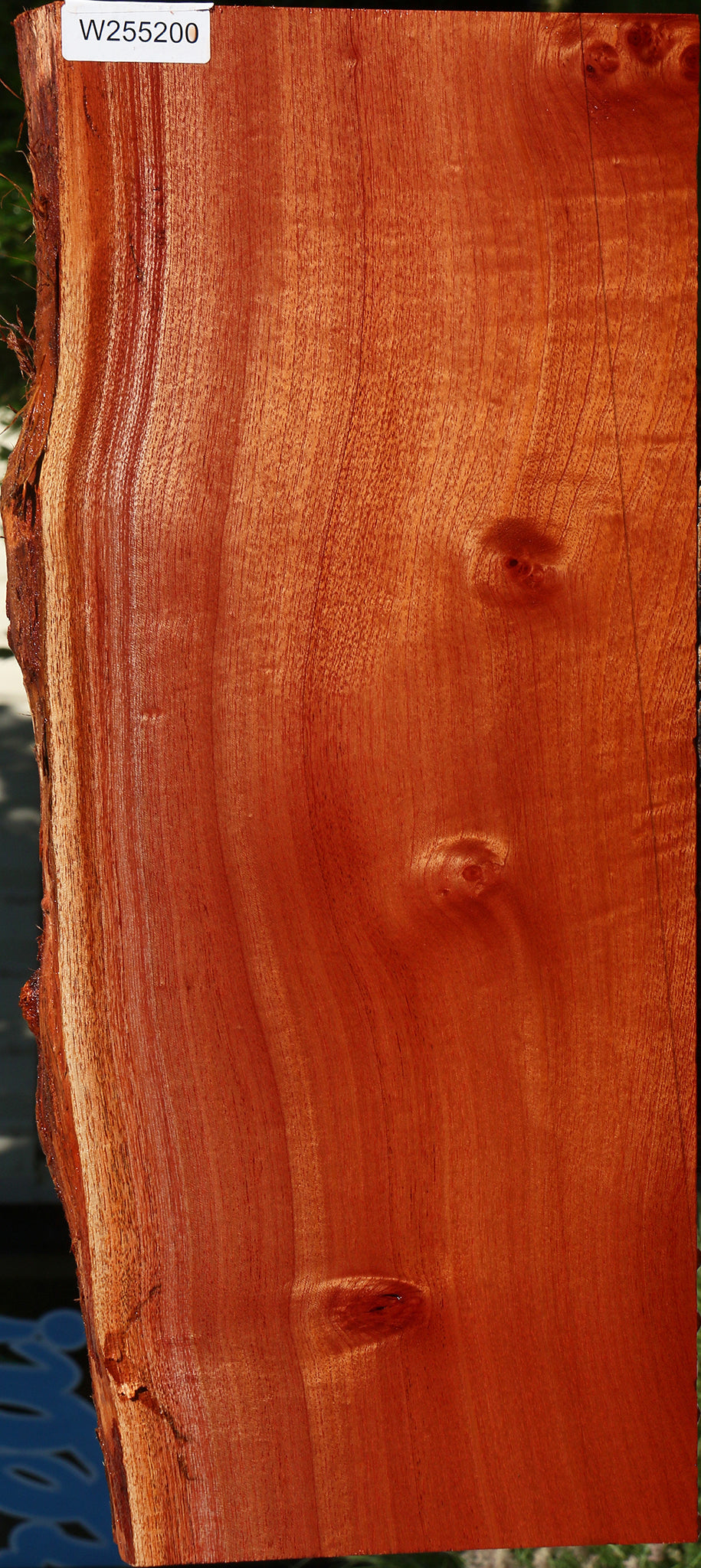 Figured Rustic Brazilian Pepperwood Live Edge Lumber
