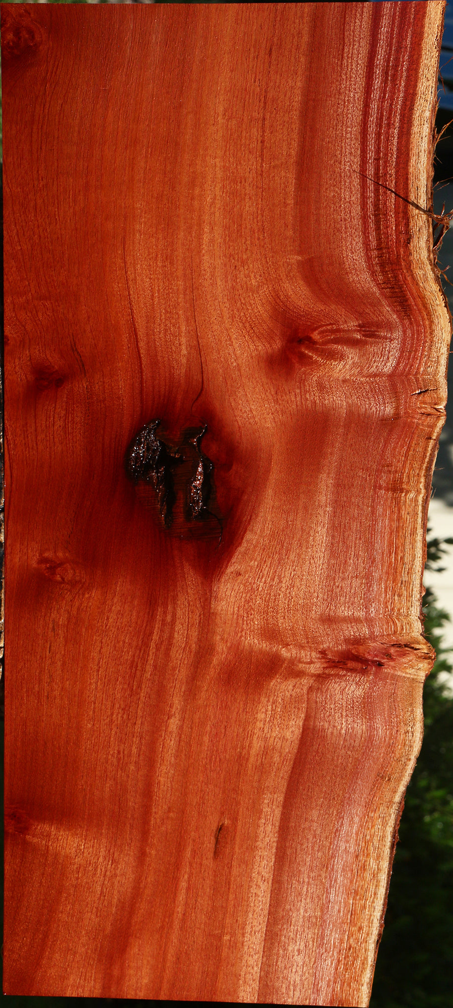Figured Rustic Brazilian Pepperwood Live Edge Lumber