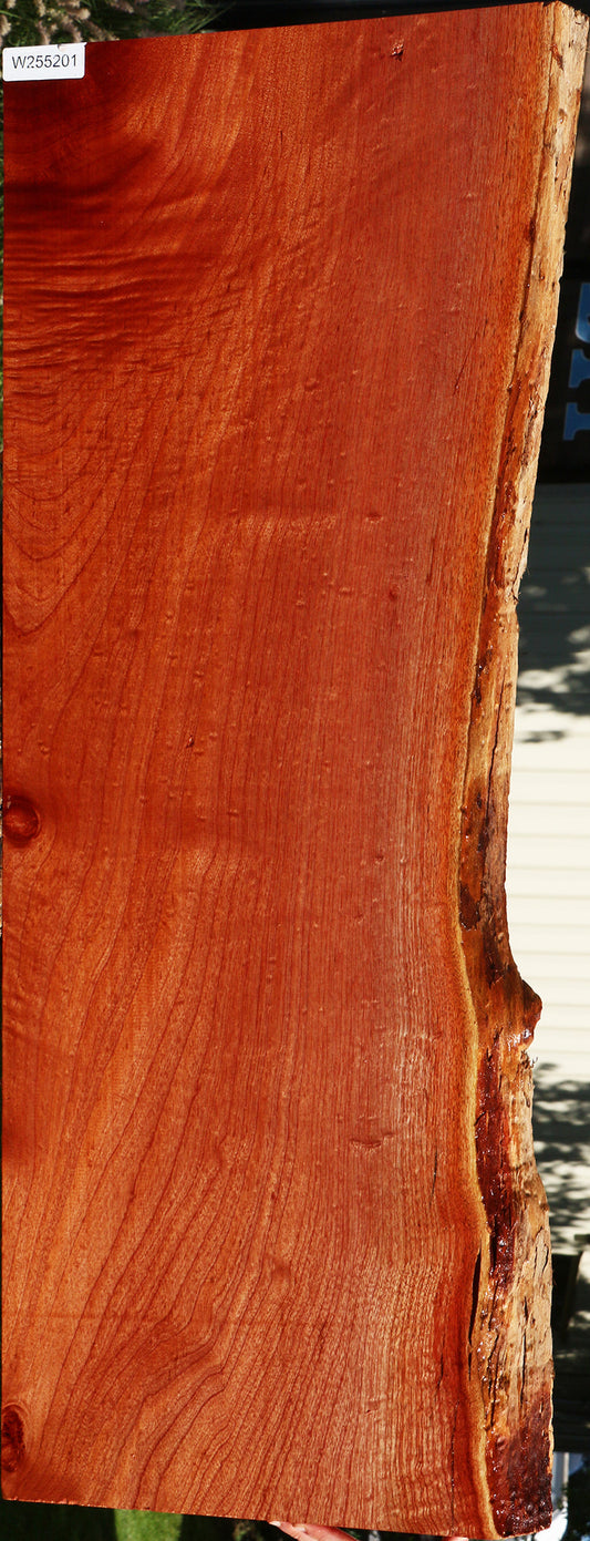 Figured Brazilian Pepperwood Live Edge Mini Slab