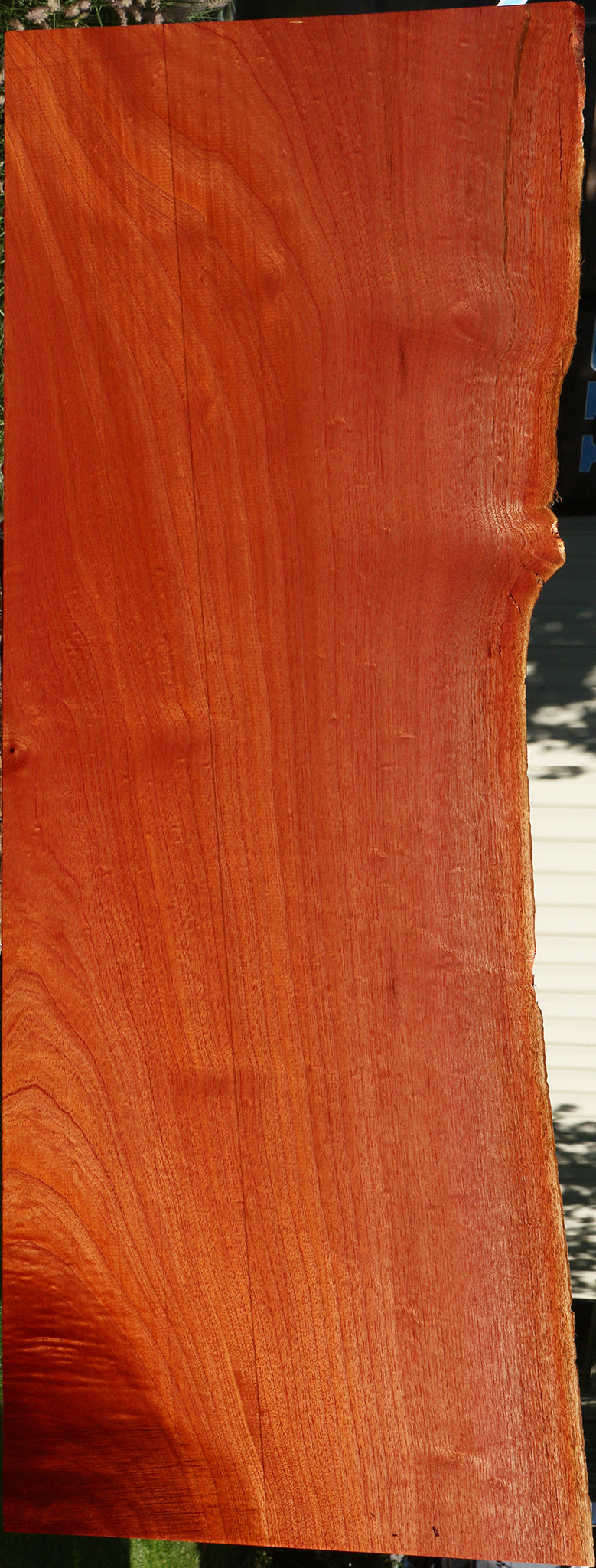 Figured Brazilian Pepperwood Live Edge Mini Slab