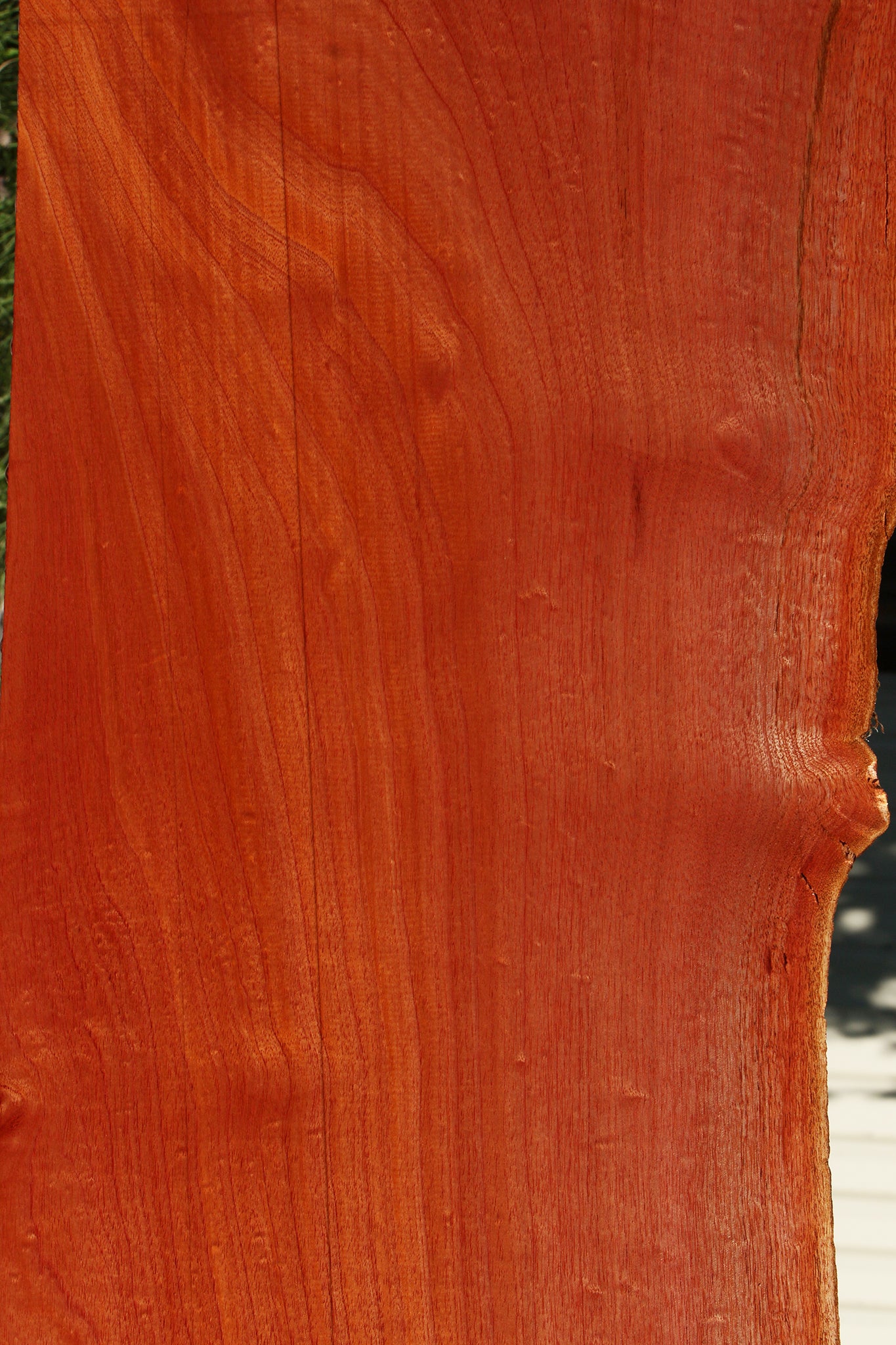 Figured Brazilian Pepperwood Live Edge Mini Slab
