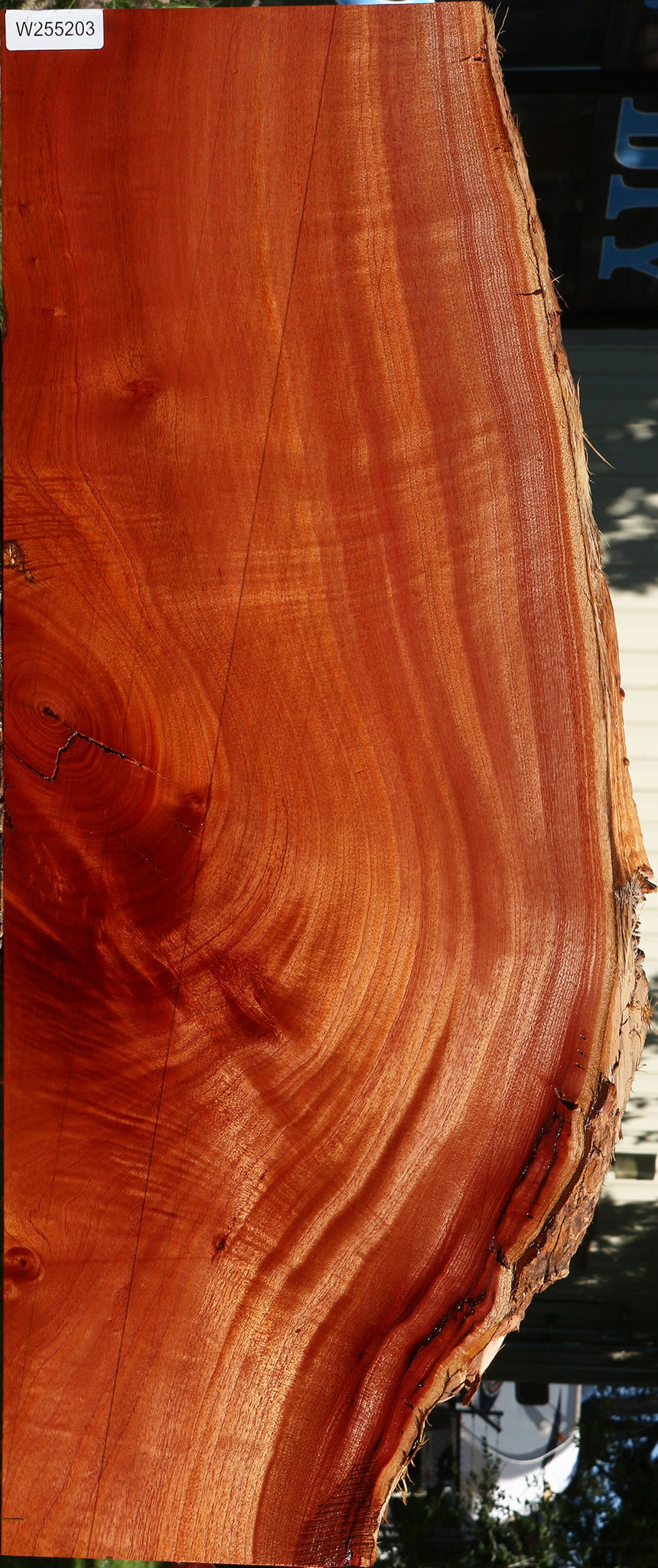 Extra Fancy Brazilian Pepperwood Live Edge Mini Slab